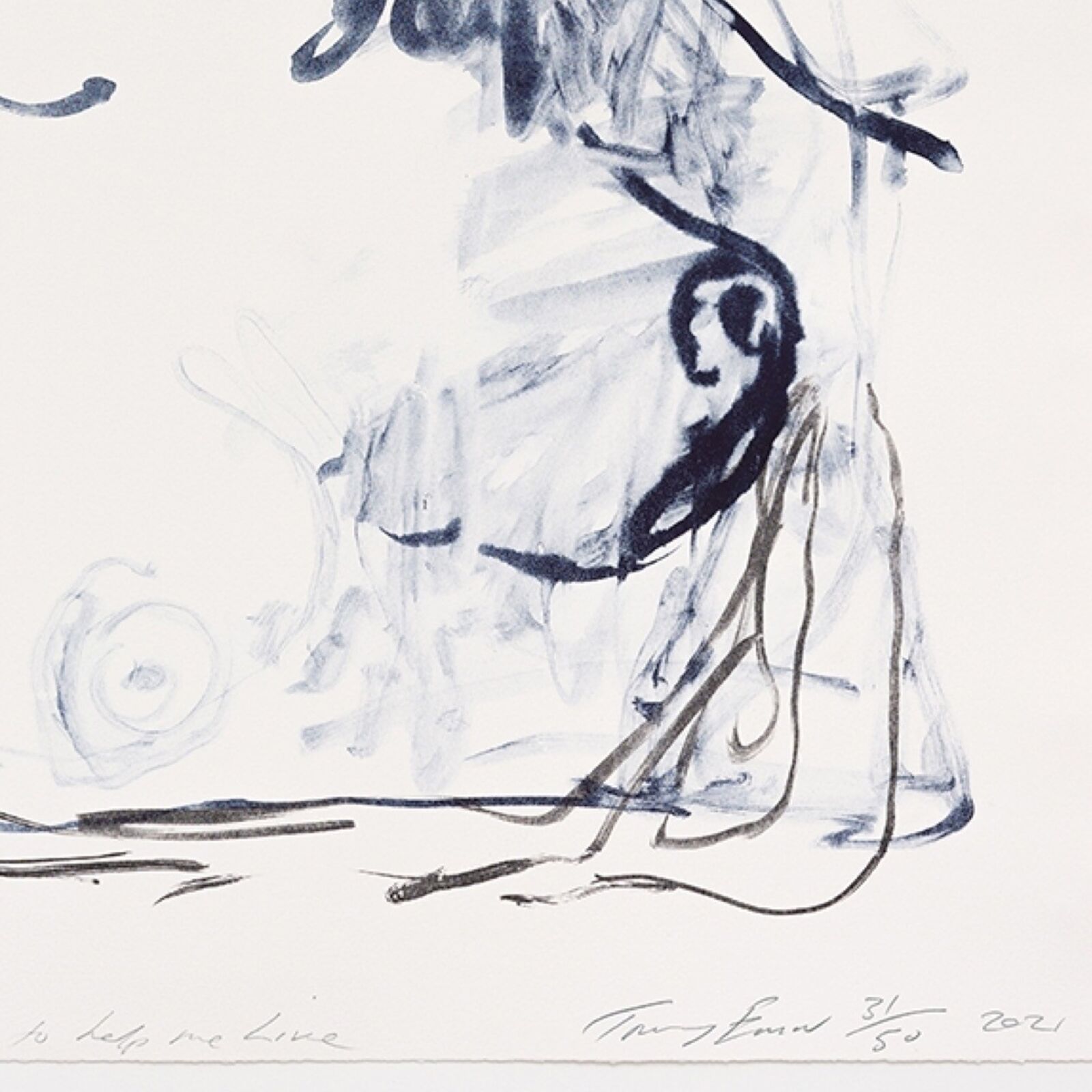 Artwork by Tracey Emin, Crying – Shouting – Screaming – Was Not going to help me Live (from A Journey To Death), Made of Colour lithographs on Somerset Velvet Warm White 400gsm 