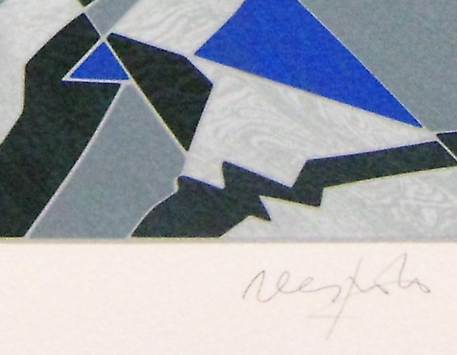 Artwork by Ugo Nespolo, Orti in casa, Made of Print: Screen Print, collage, tirage fine art 