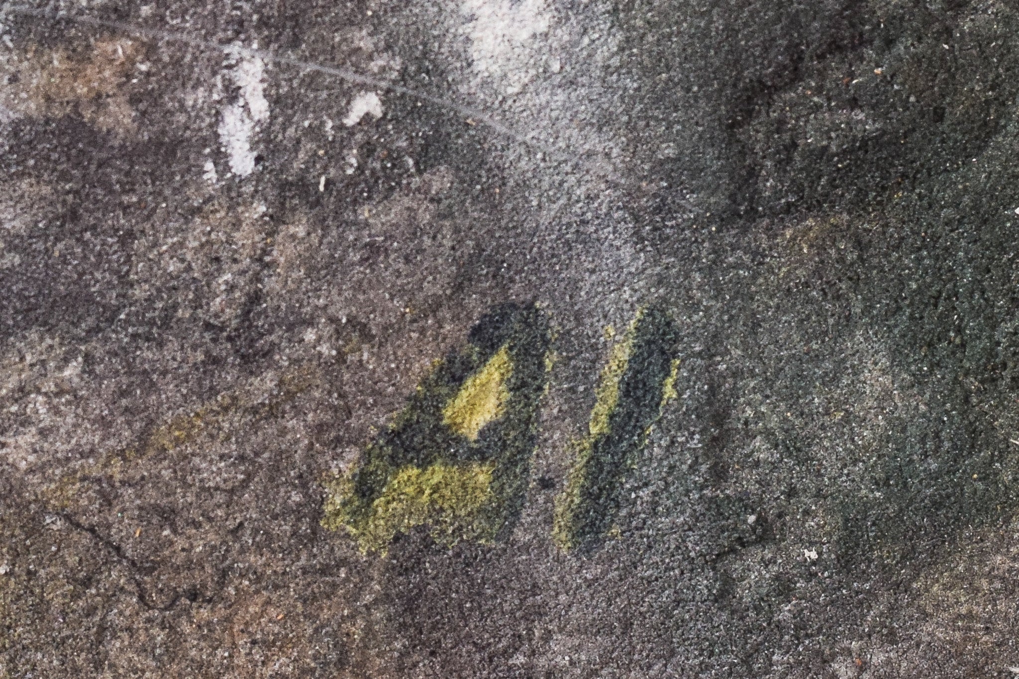 A painting of a tree with a lot of paint on it.