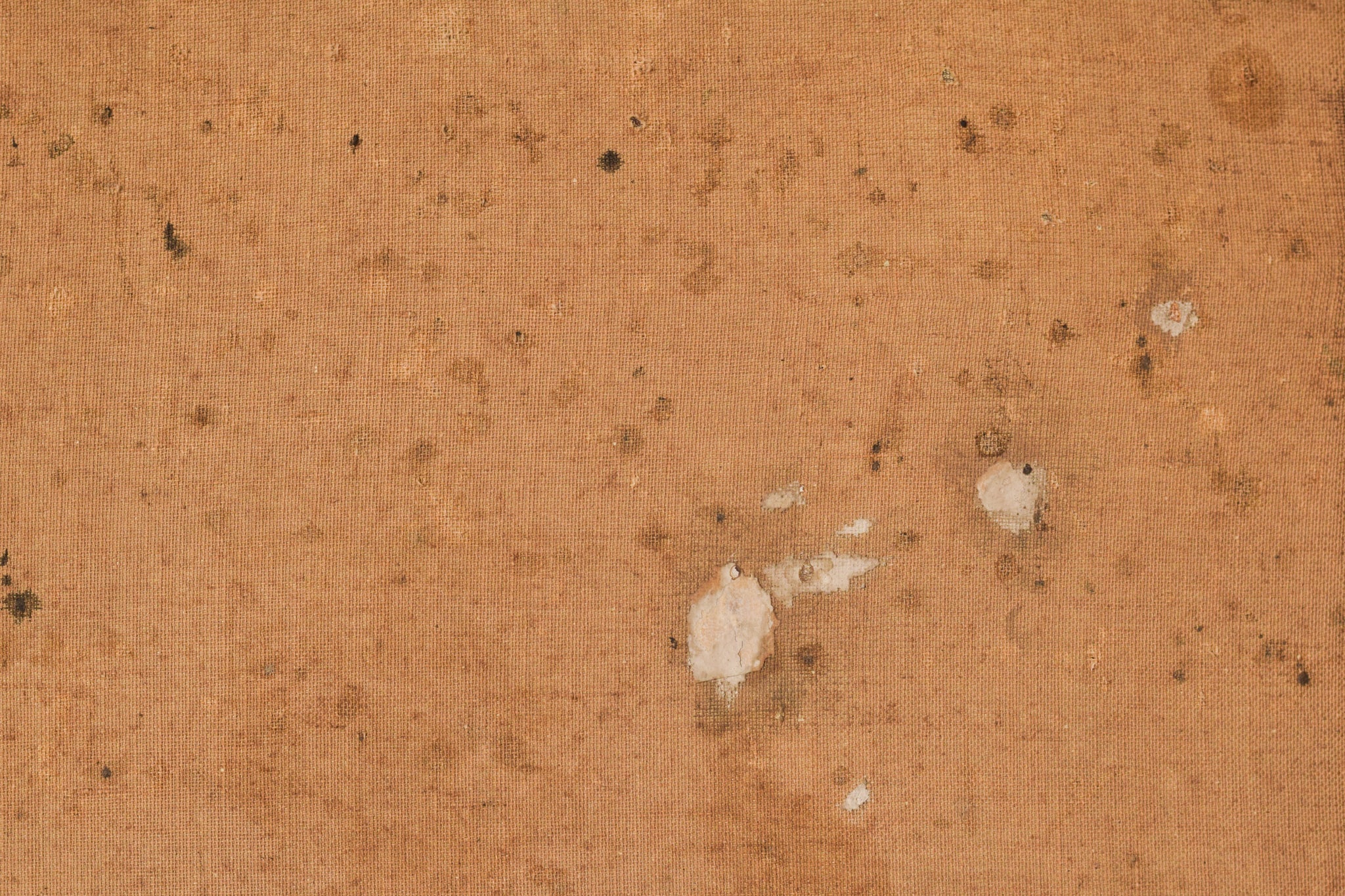 A painting of a man and two women and a cat in a courtyard.