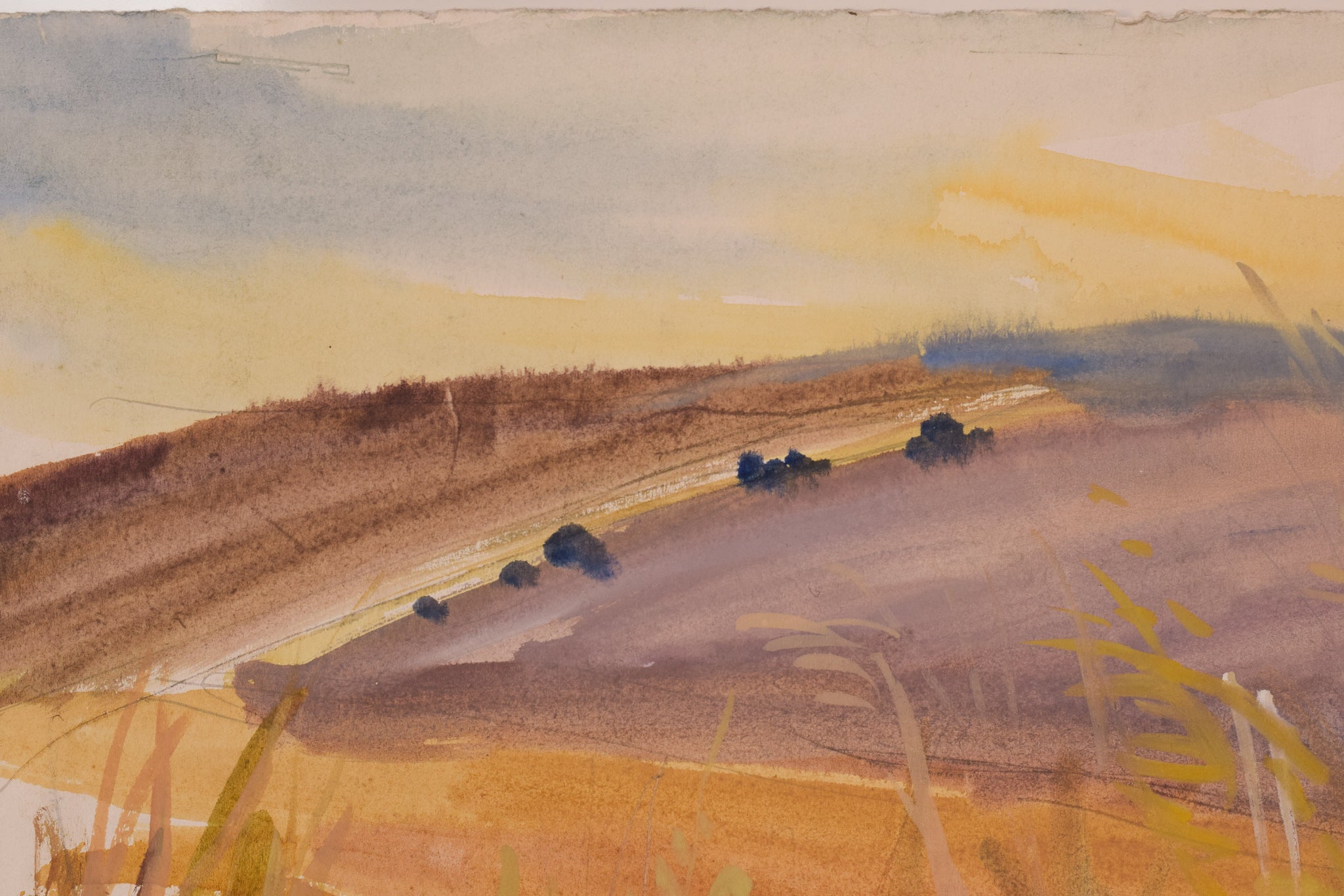 A watercolor painting of a field with tall grass in the foreground.