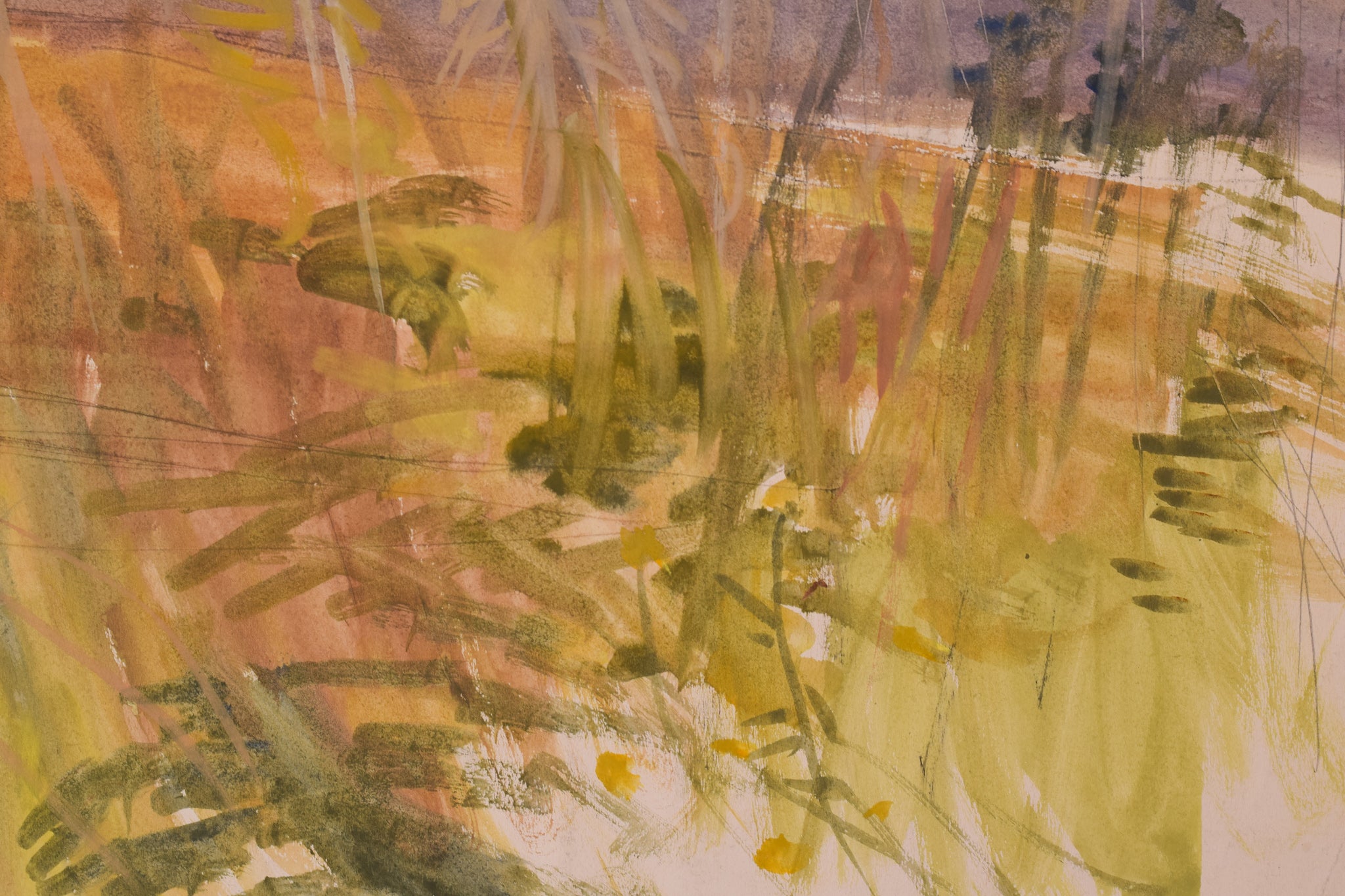 A watercolor painting of a field with tall grass in the foreground.