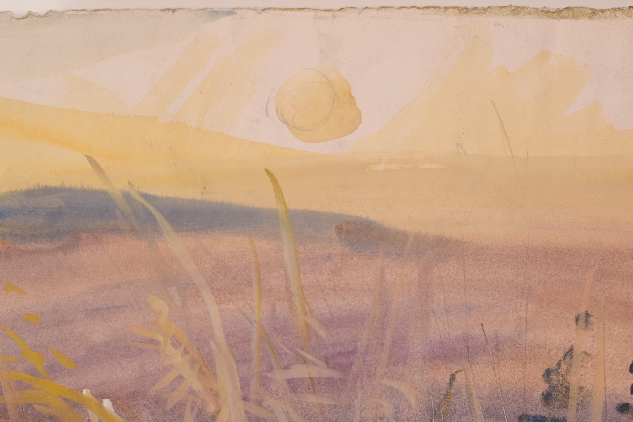 A watercolor painting of a field with tall grass in the foreground.