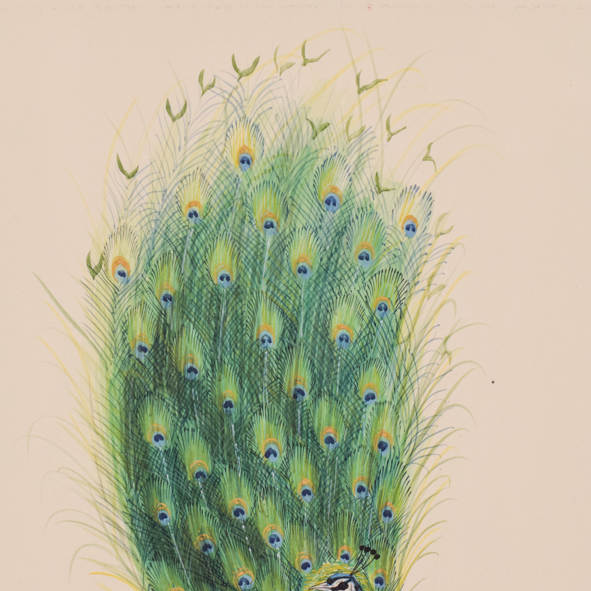 Two paintings of peacocks are shown side by side on a white background.