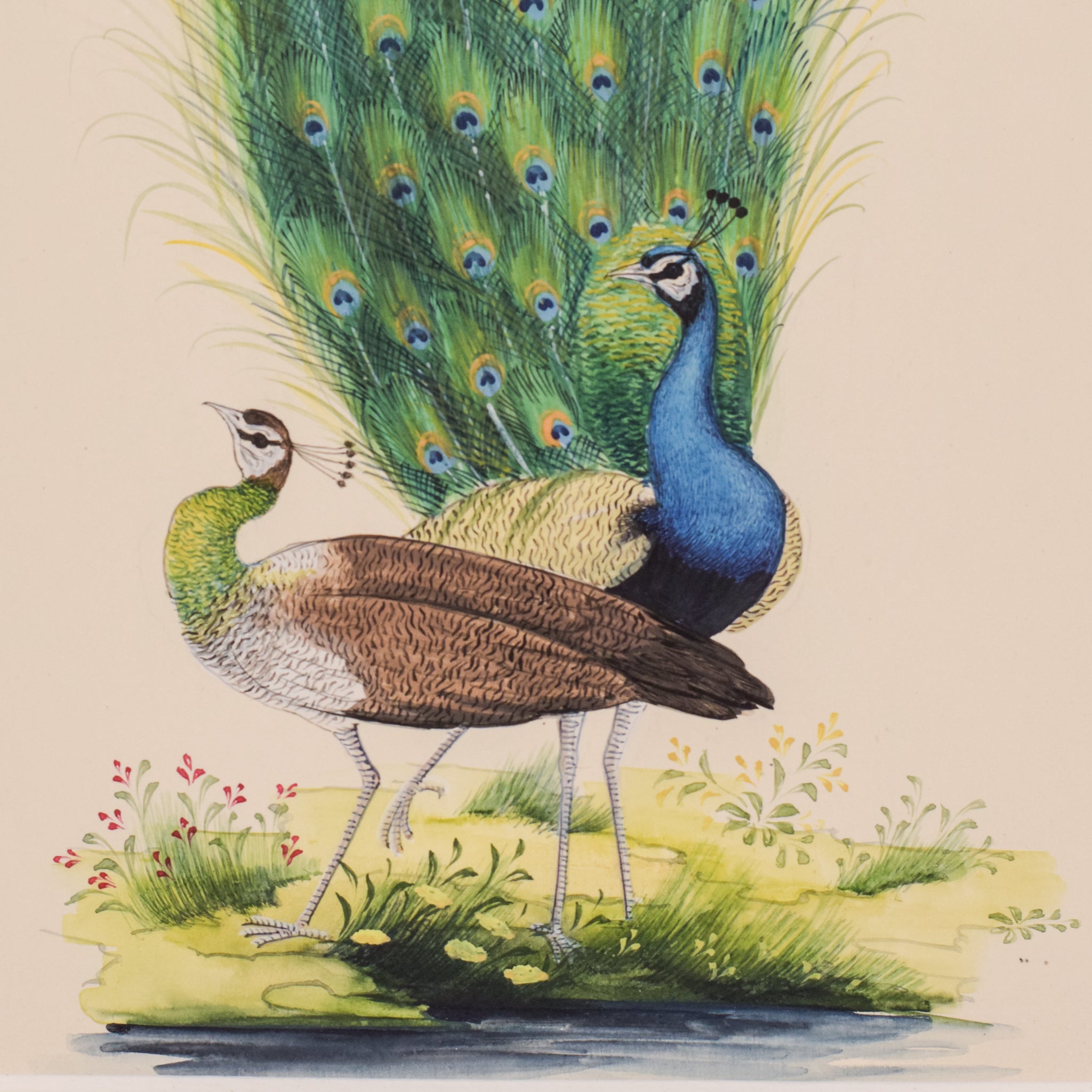 Two paintings of peacocks are shown side by side on a white background.