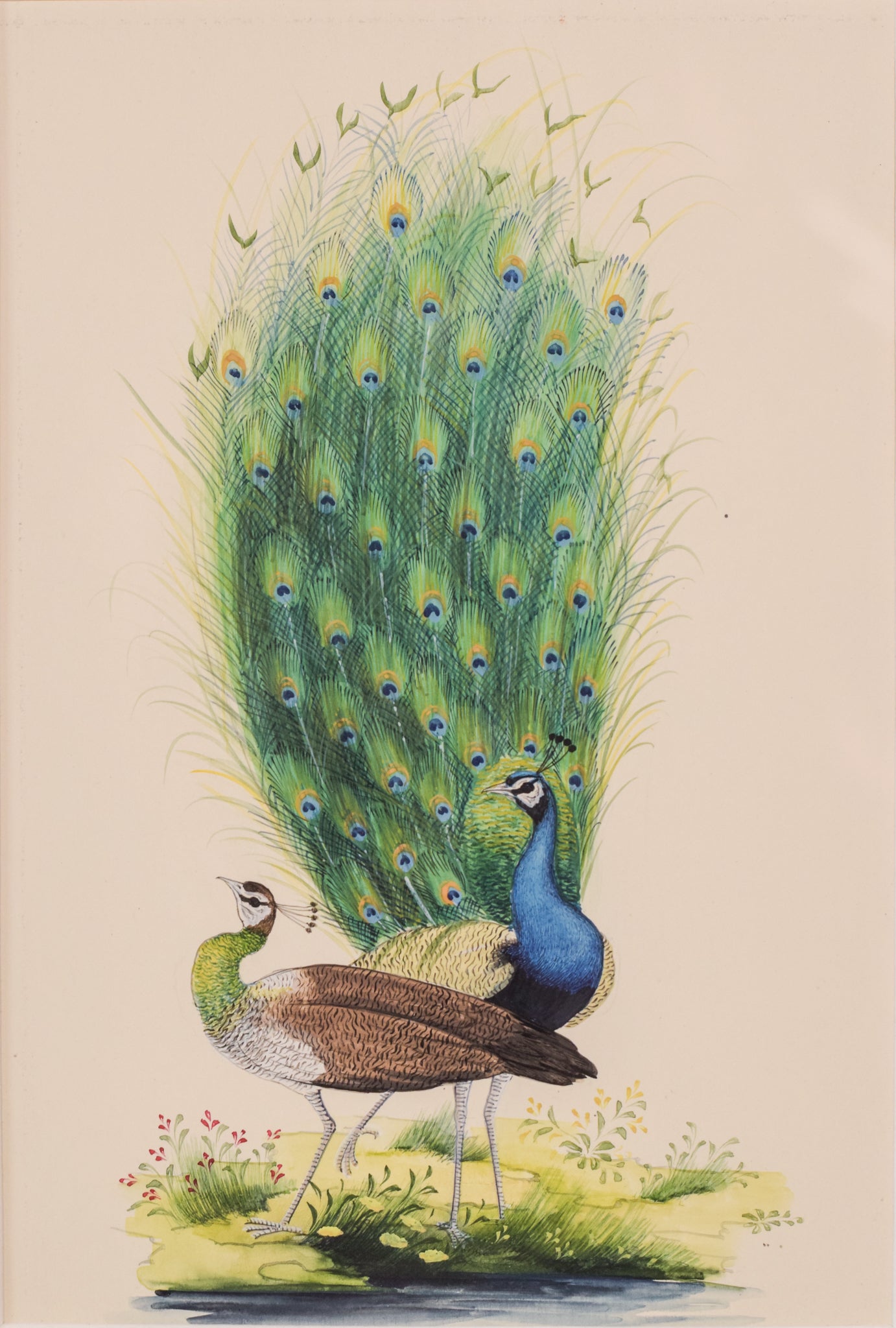Two paintings of peacocks are shown side by side on a white background.