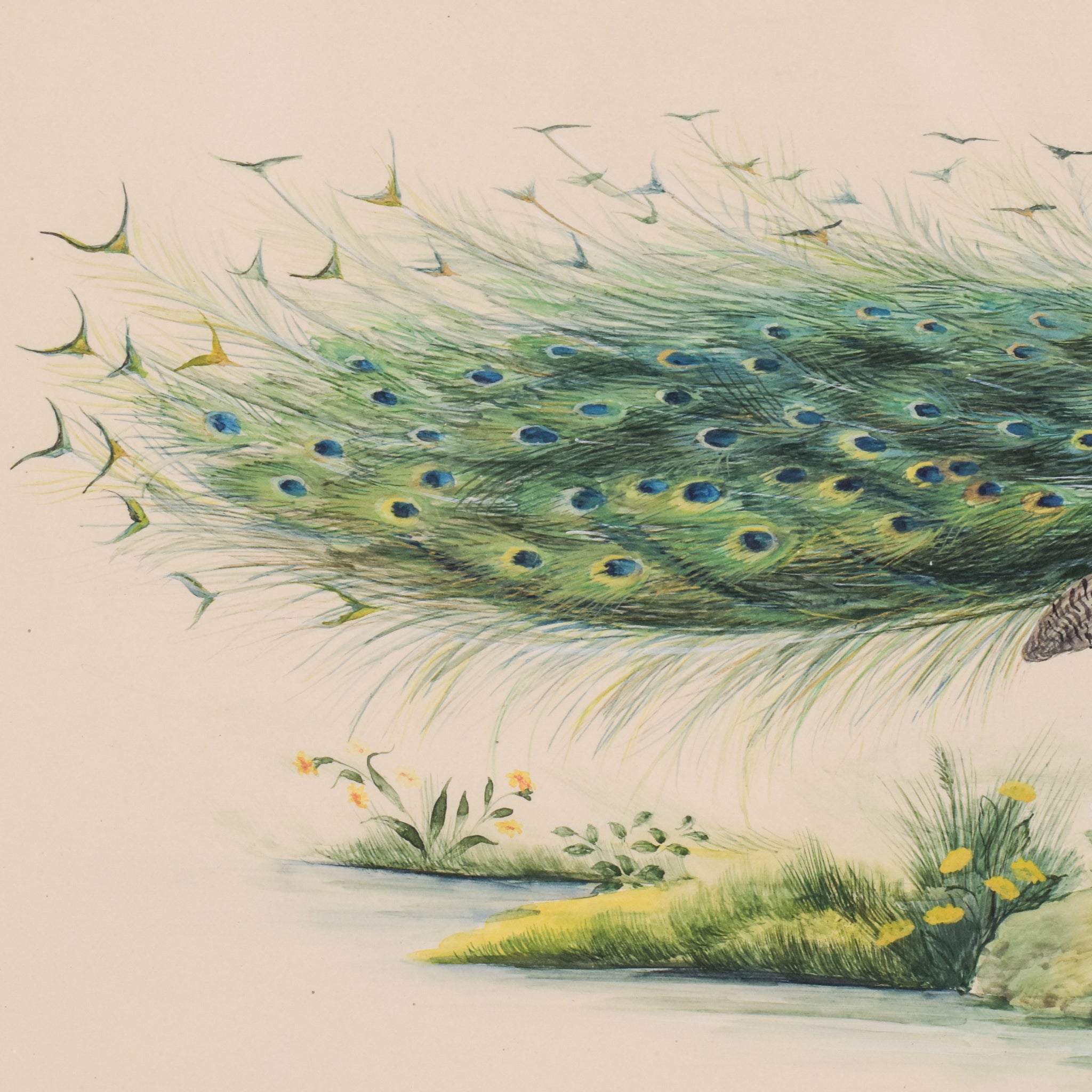 Two paintings of peacocks are shown side by side on a white background.