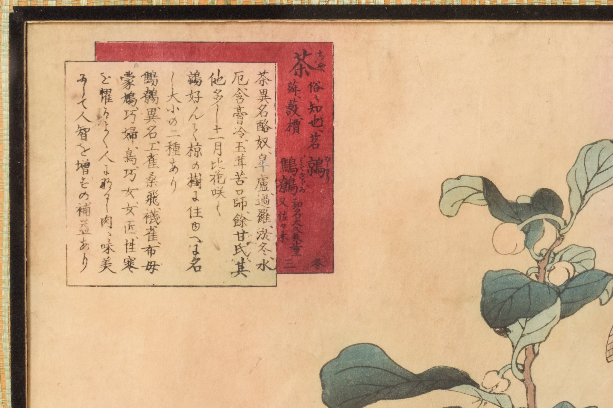 A painting of two birds sitting on a branch of a tree.