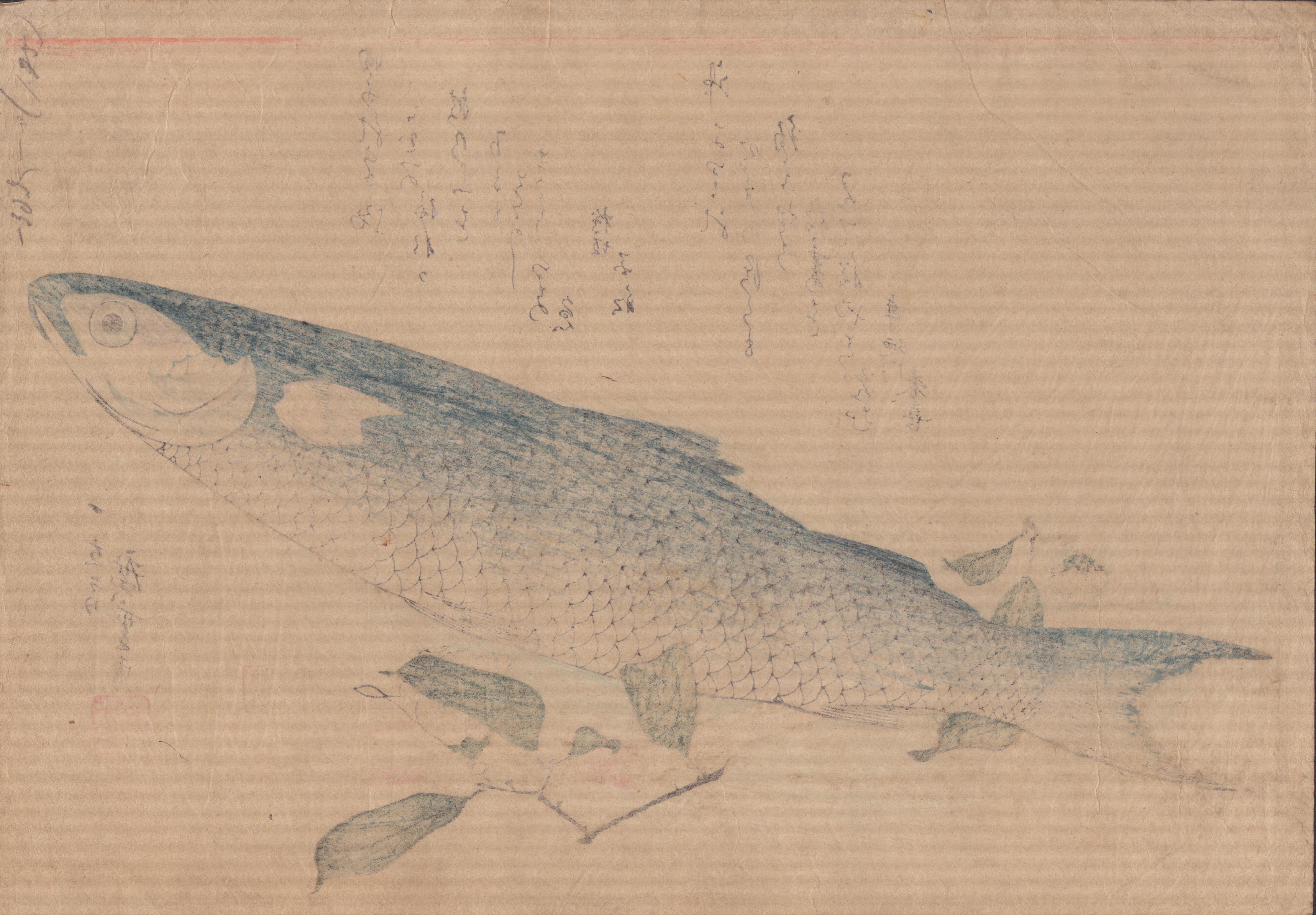 A drawing of a fish on a branch of a tree.
