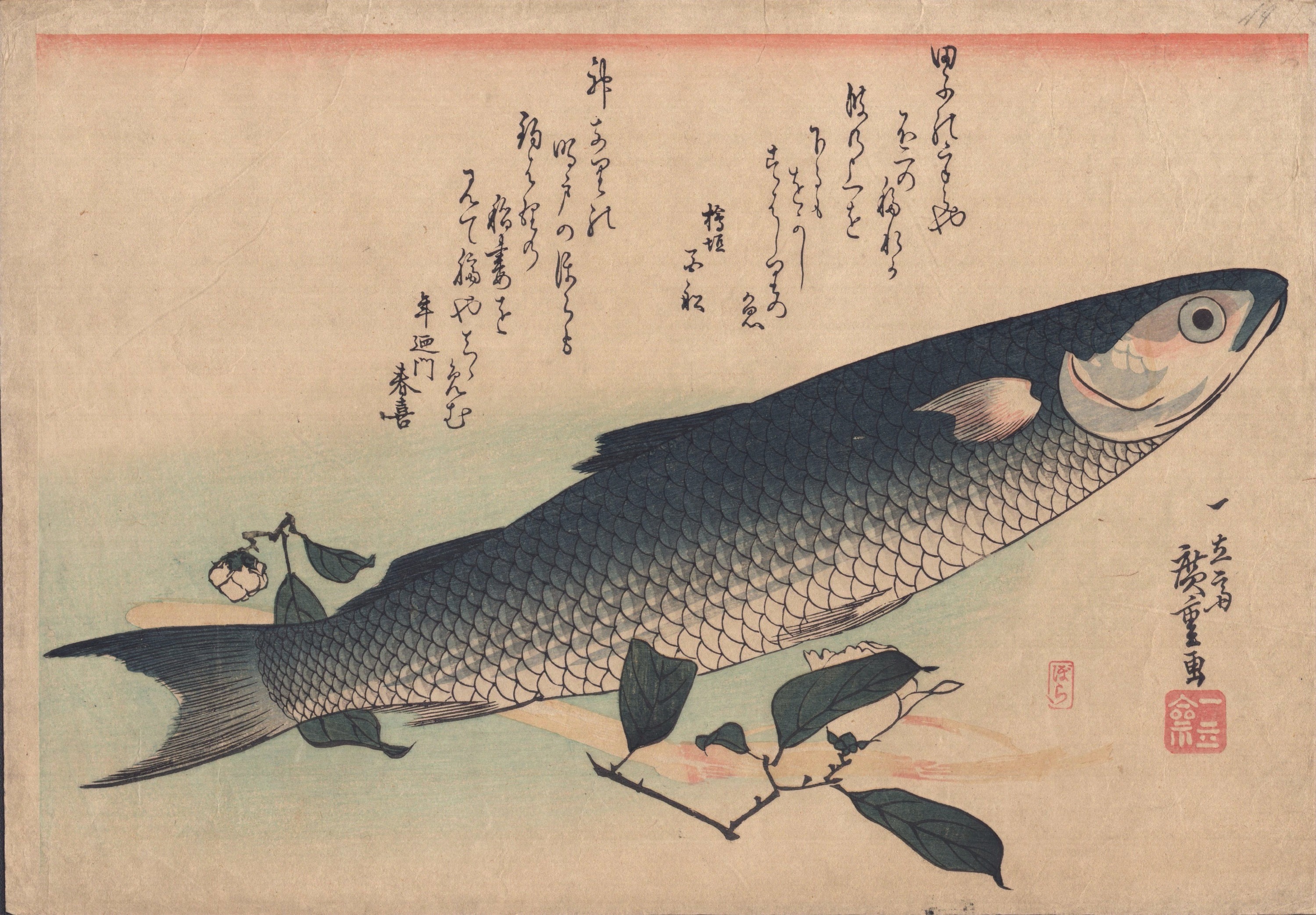 A drawing of a fish on a branch of a tree.