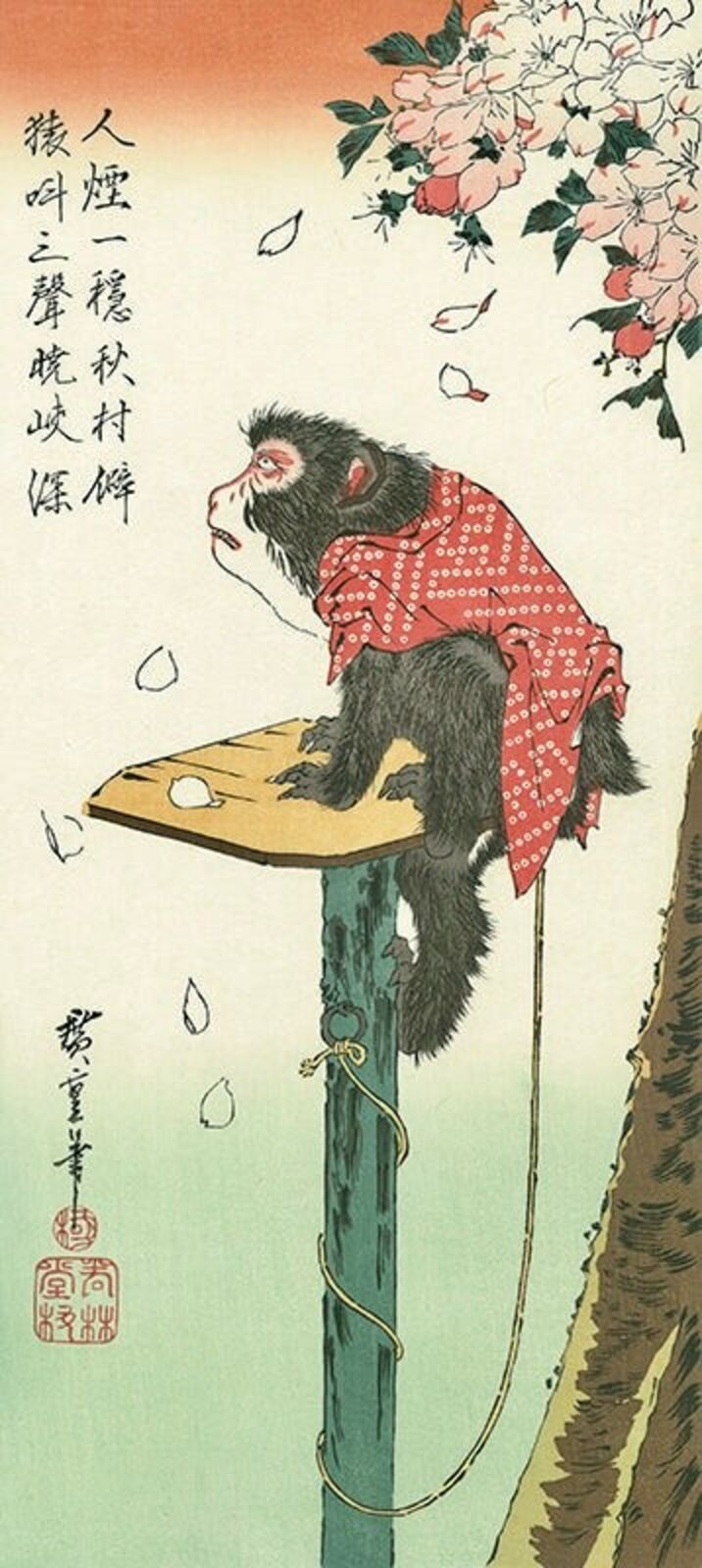 A monkey sitting on top of a wooden table.