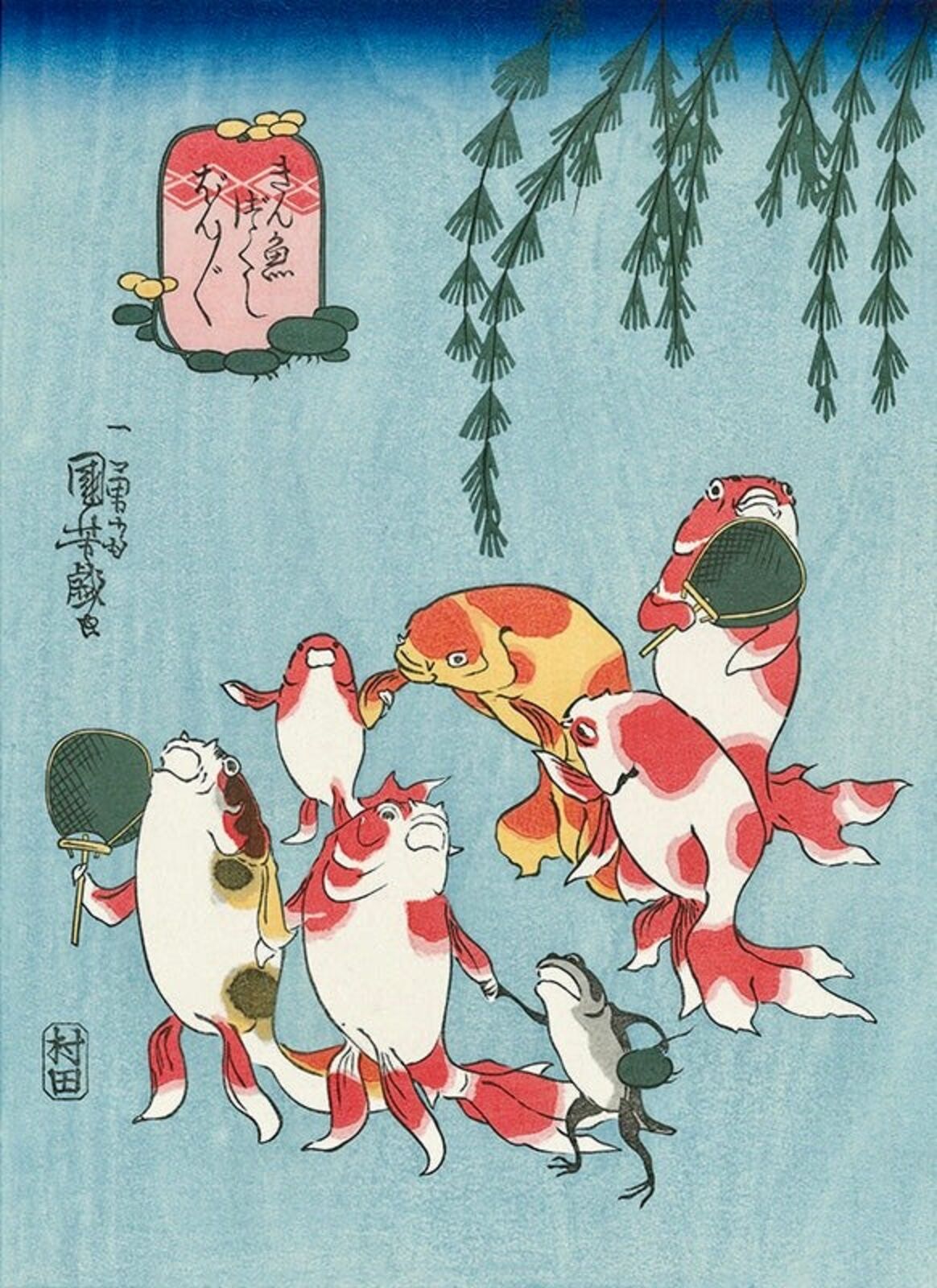 A group of koi fish swimming in a pond with a mirror.