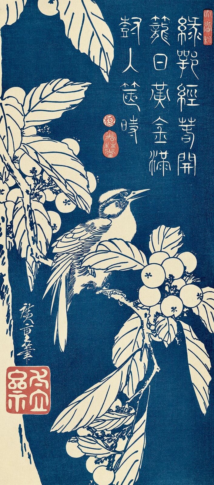 A blue and white bird sitting on a branch of a tree.