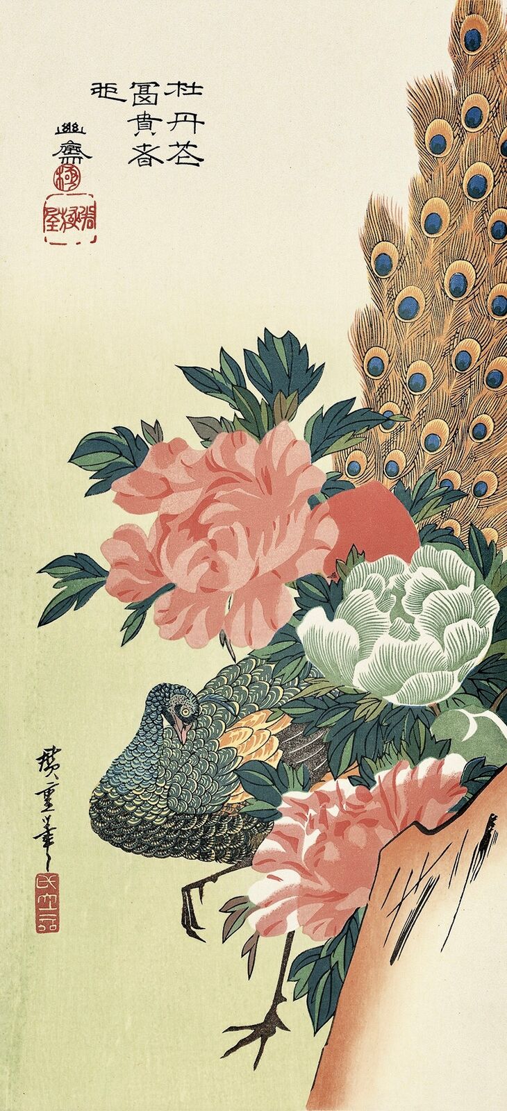 A peacock sitting on top of a tree branch next to flowers.