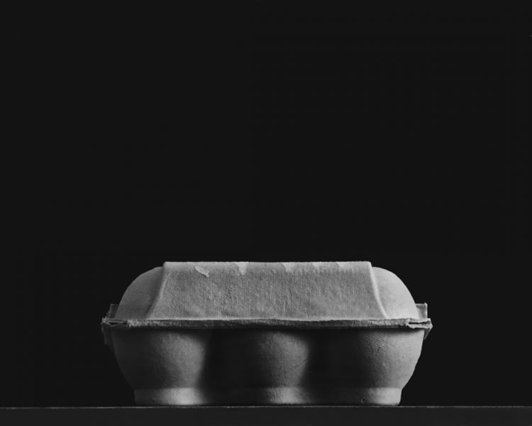 Egg Carton by Vadim Gushchin, 2008