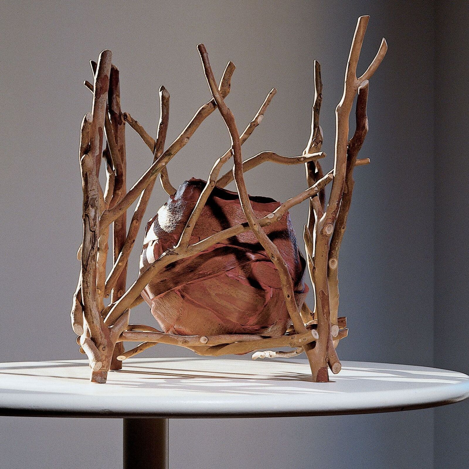 Eucalyptus Bark Pod in Wood Frame 1