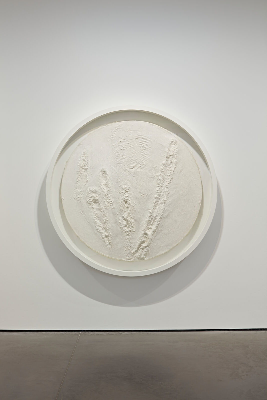 Wounded 2 by Vibha Galhotra, 2019