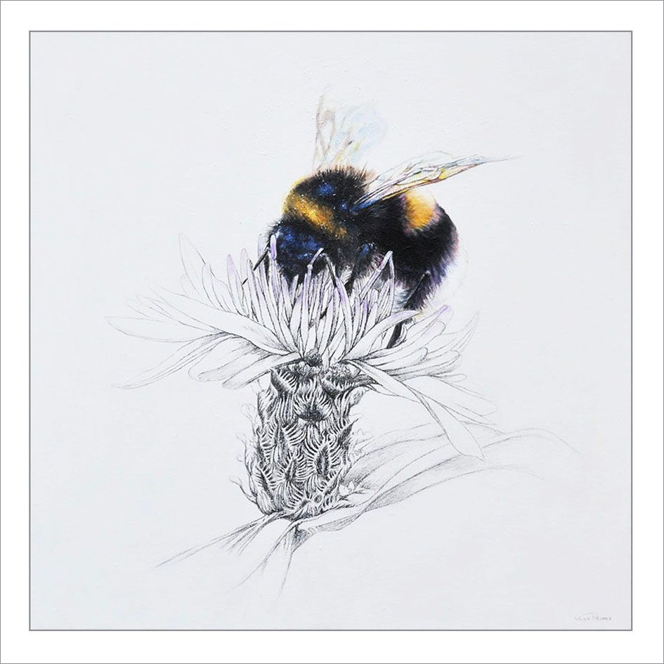Busy Bee by Vicky Palmer, 2016