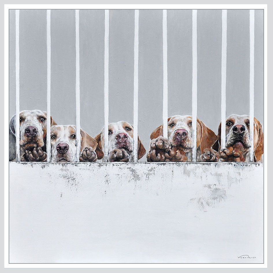 Kennels by Vicky Palmer, 2016