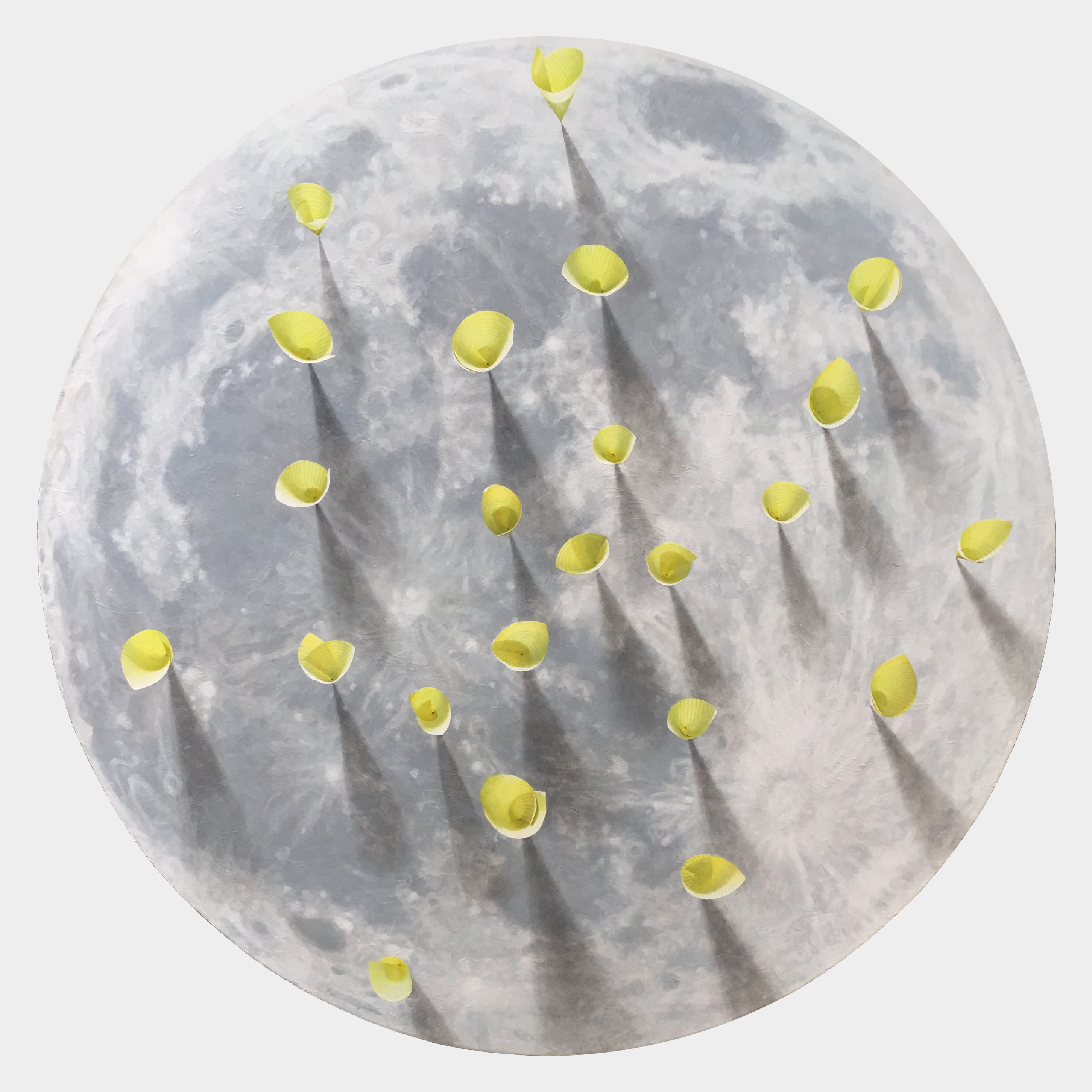 Lunar Target by Victoria Wonnacott, 2018