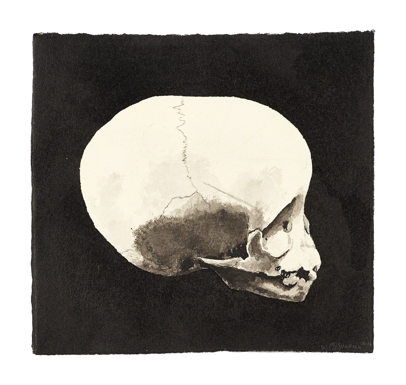Infant Skull I by Walter Oltmann, 2015