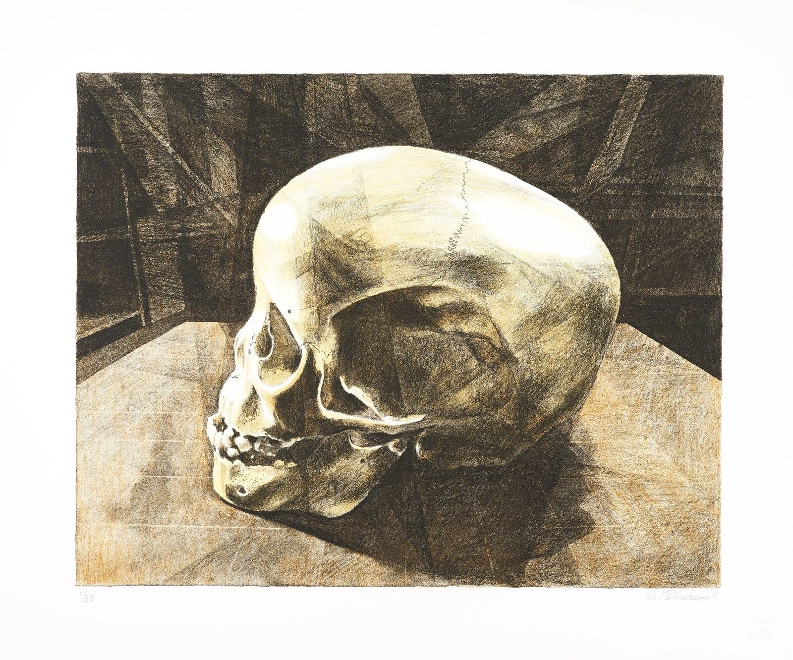 Child Skull B by Walter Oltmann, 2015