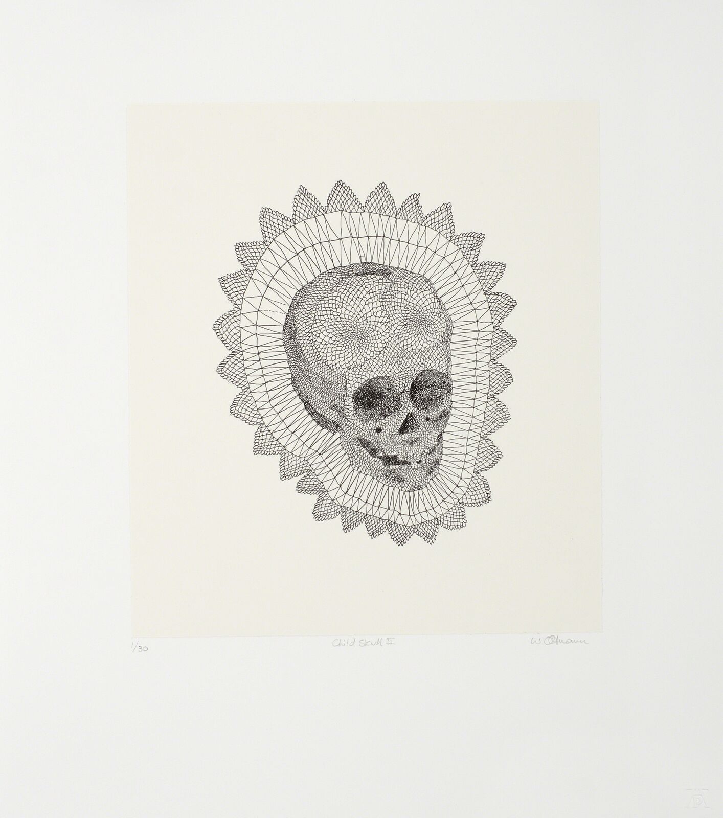 Child Skull II by Walter Oltmann, 2012