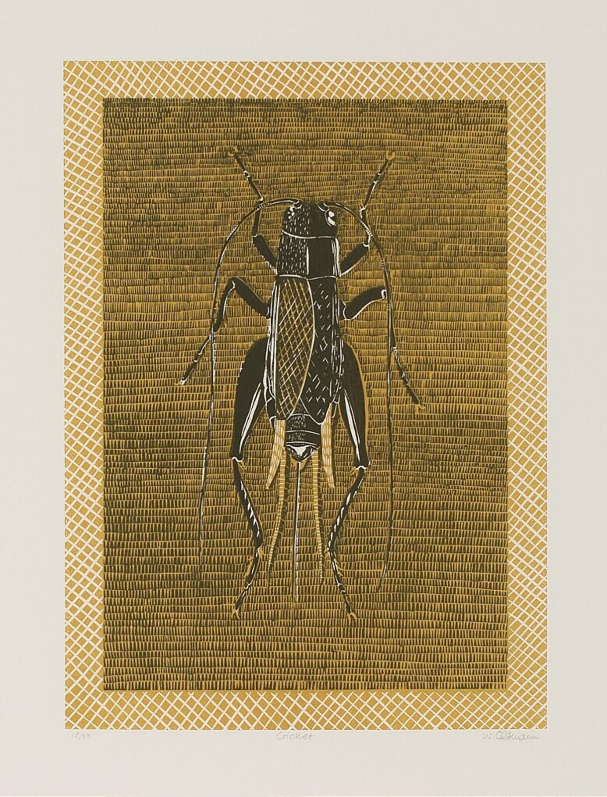 Cricket by Walter Oltmann, 1998