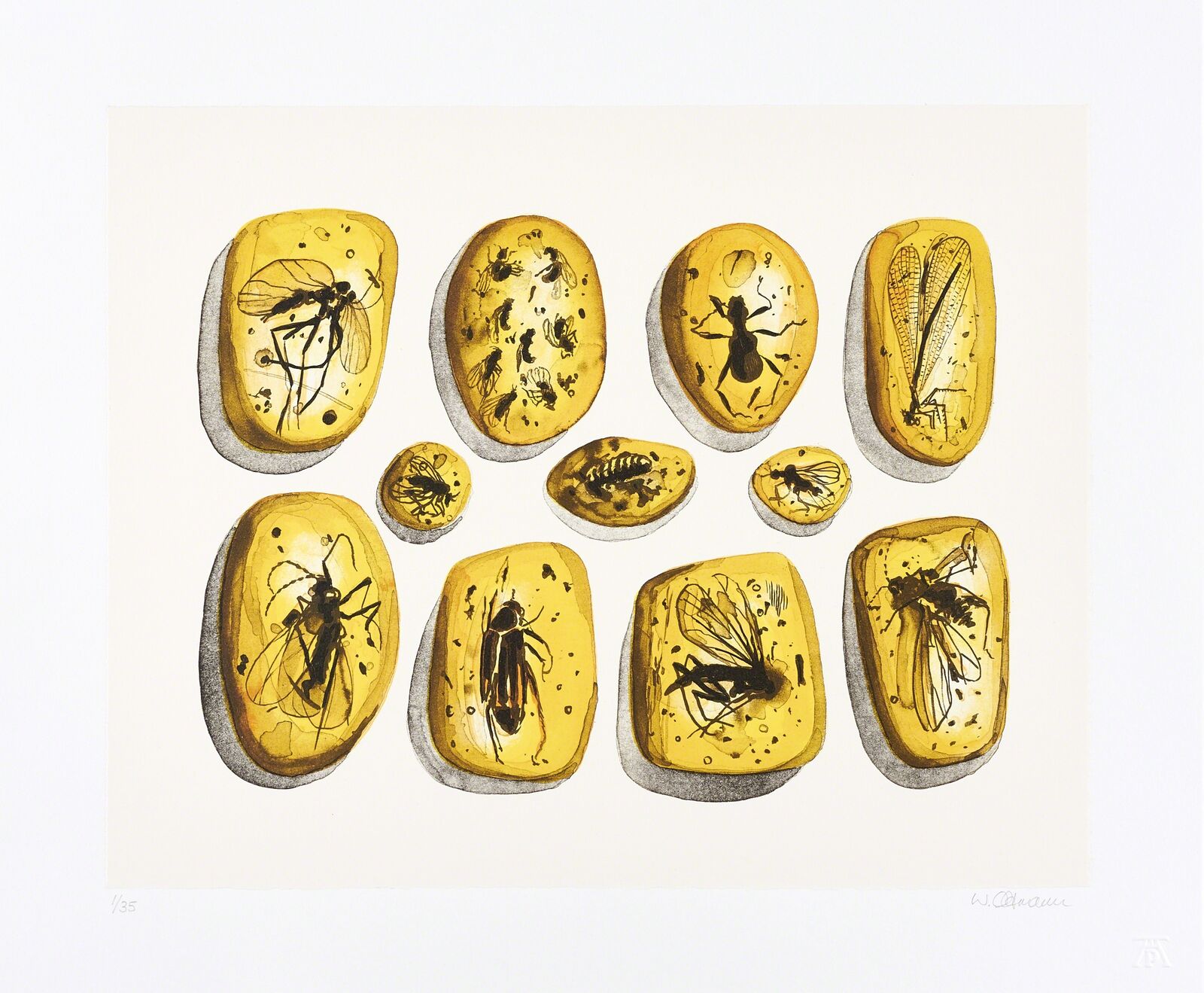 In Amber by Walter Oltmann, 2015