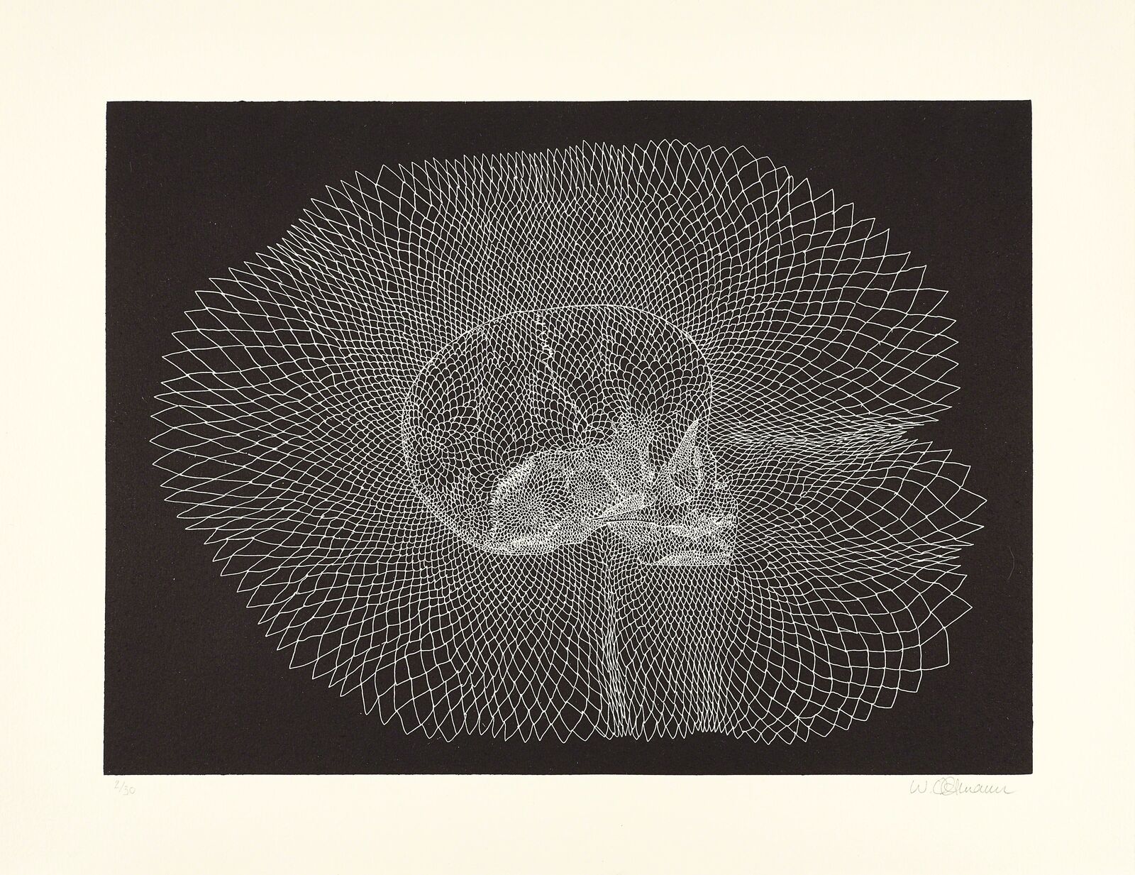 Infant Skull by Walter Oltmann, 2015