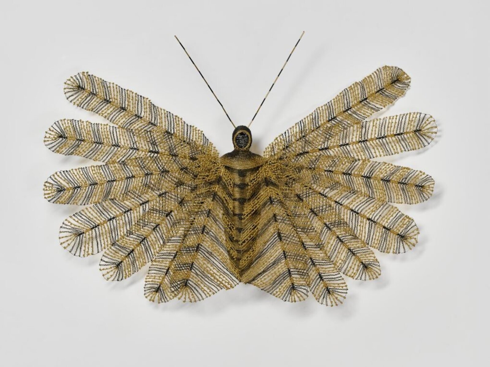Pluma