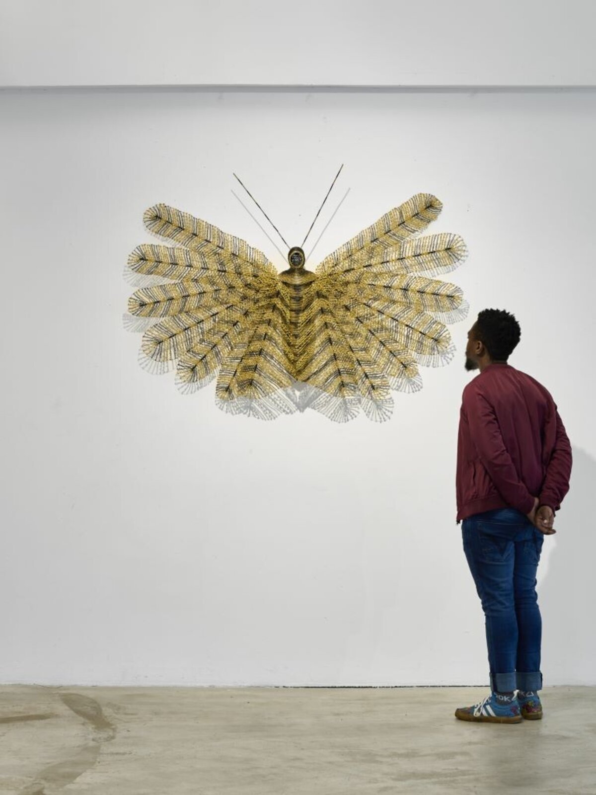 Pluma