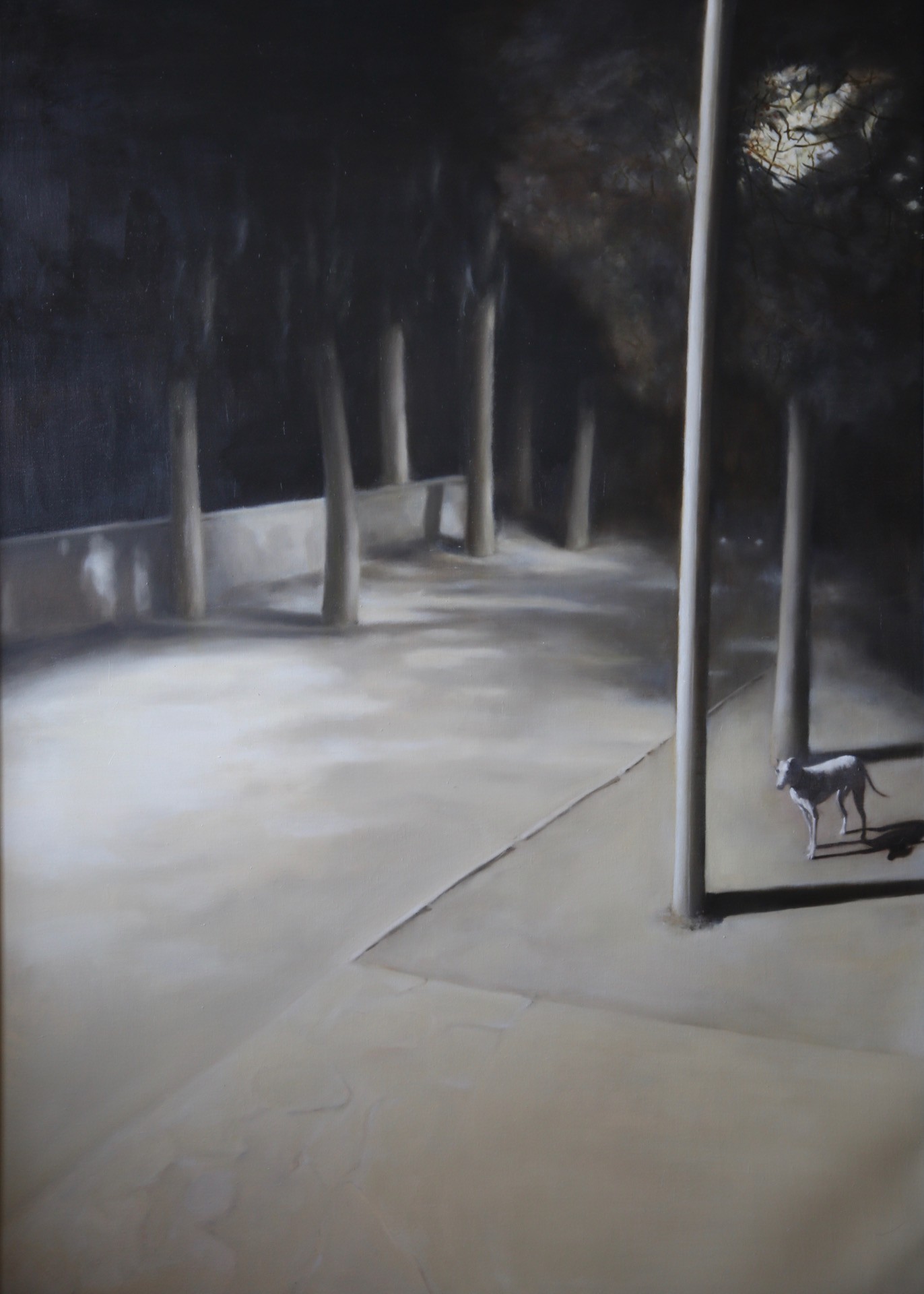A solitary dog stands in a dimly lit, tree-lined alleyway.