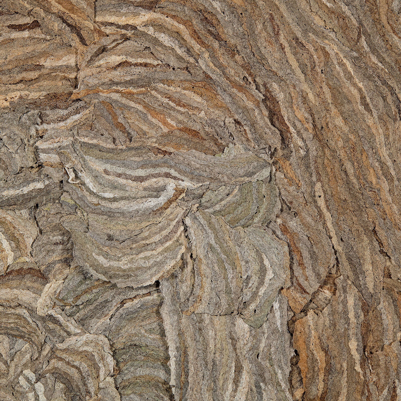 A framed square artwork featuring a textured, swirled surface in earthy tones.