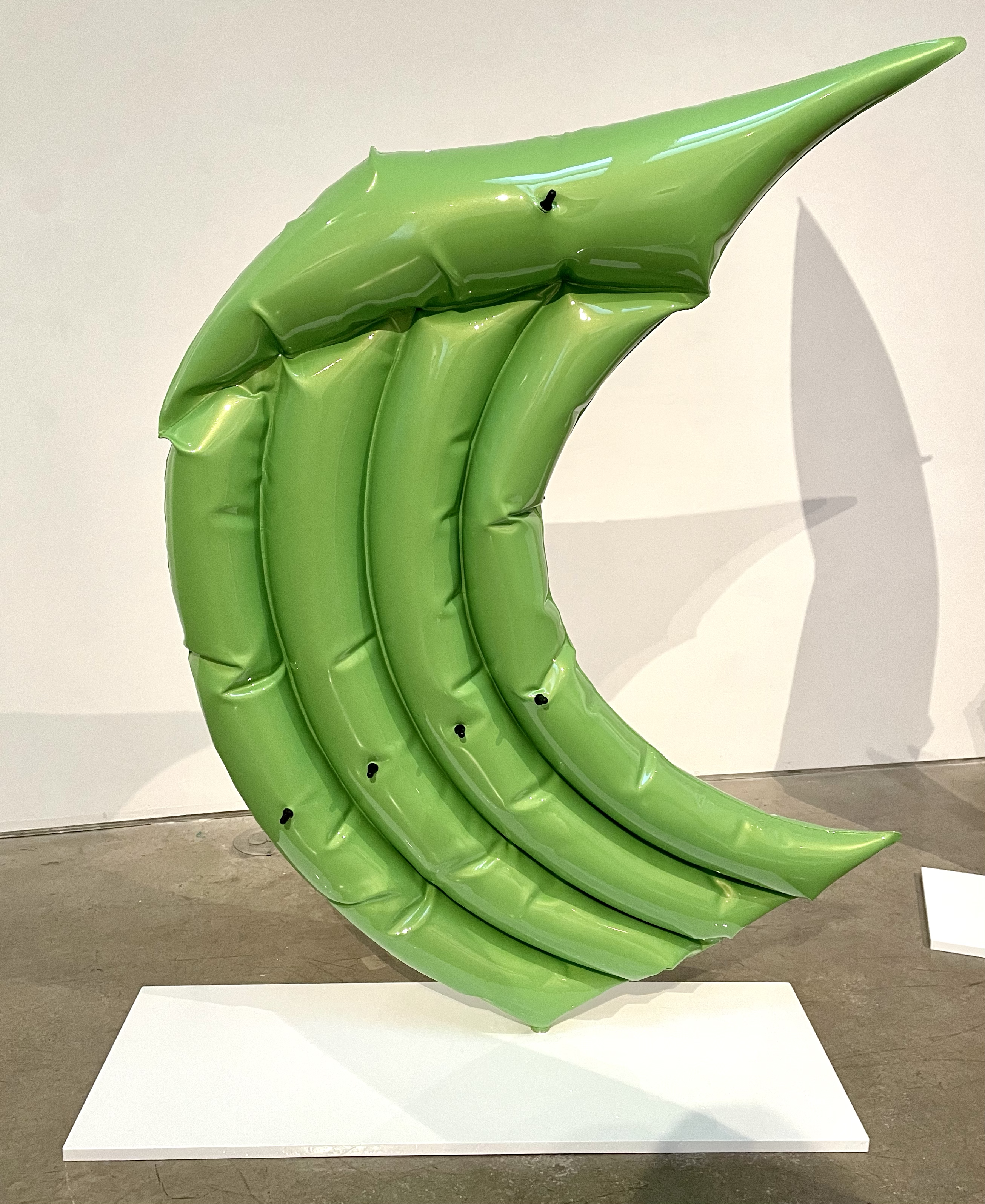 Curve by William Cannings, 2023