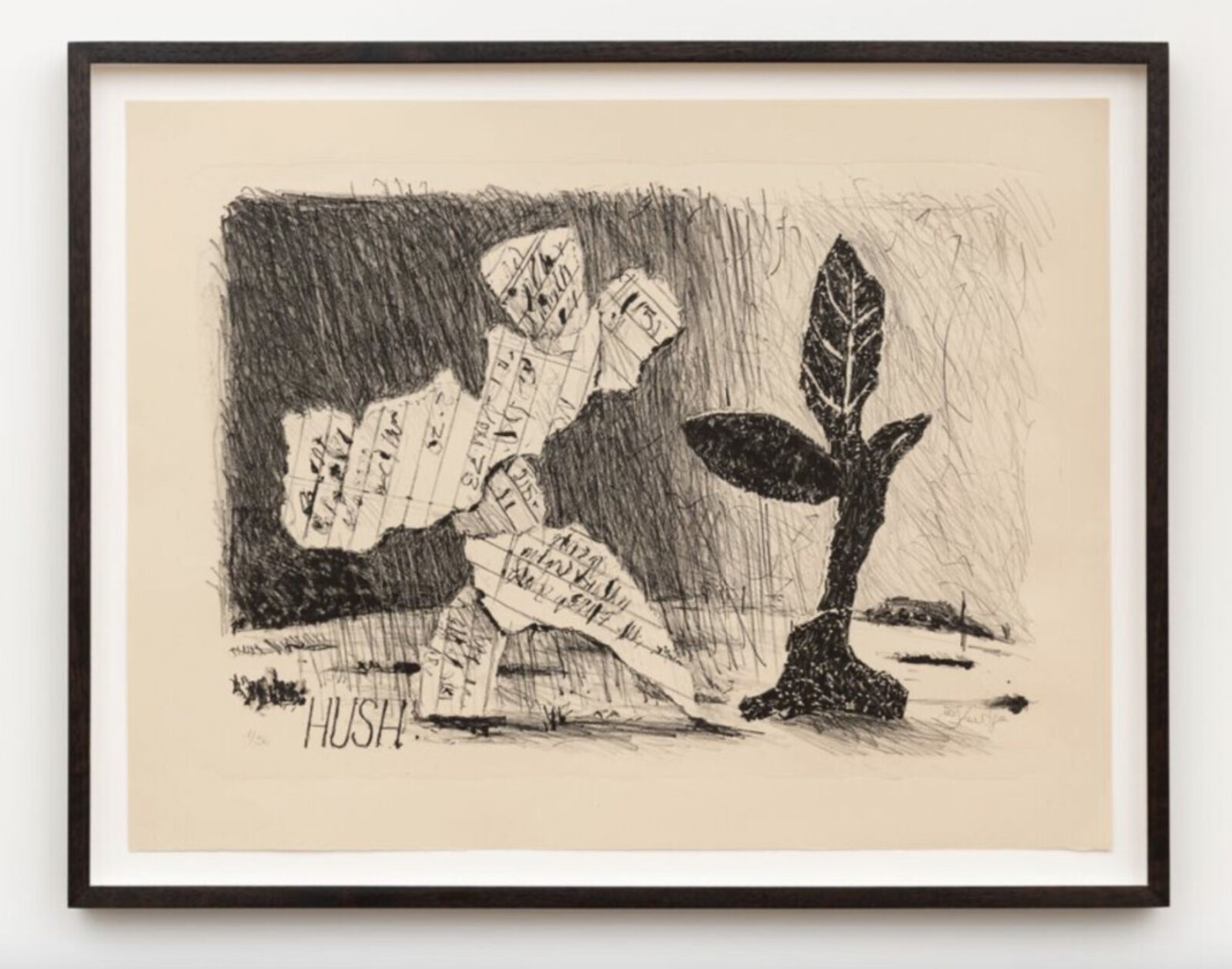 A black and white drawing of a plant in a black frame.