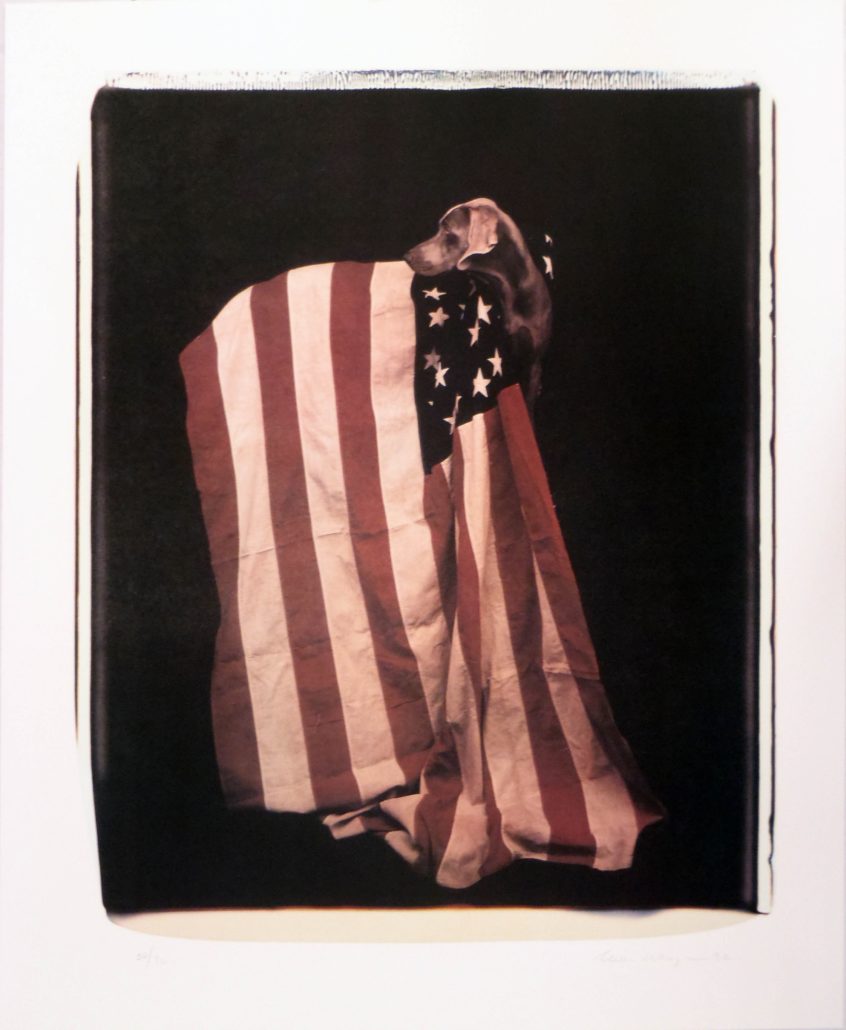 Profiles in Patriotism (from Freedom of Expression) by William Wegman, 1994