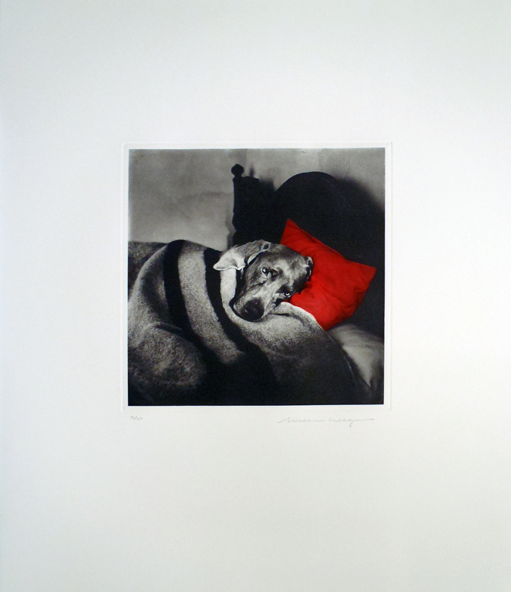 Artwork by William Wegman, Cinderella Sleeping, Made of Etching 