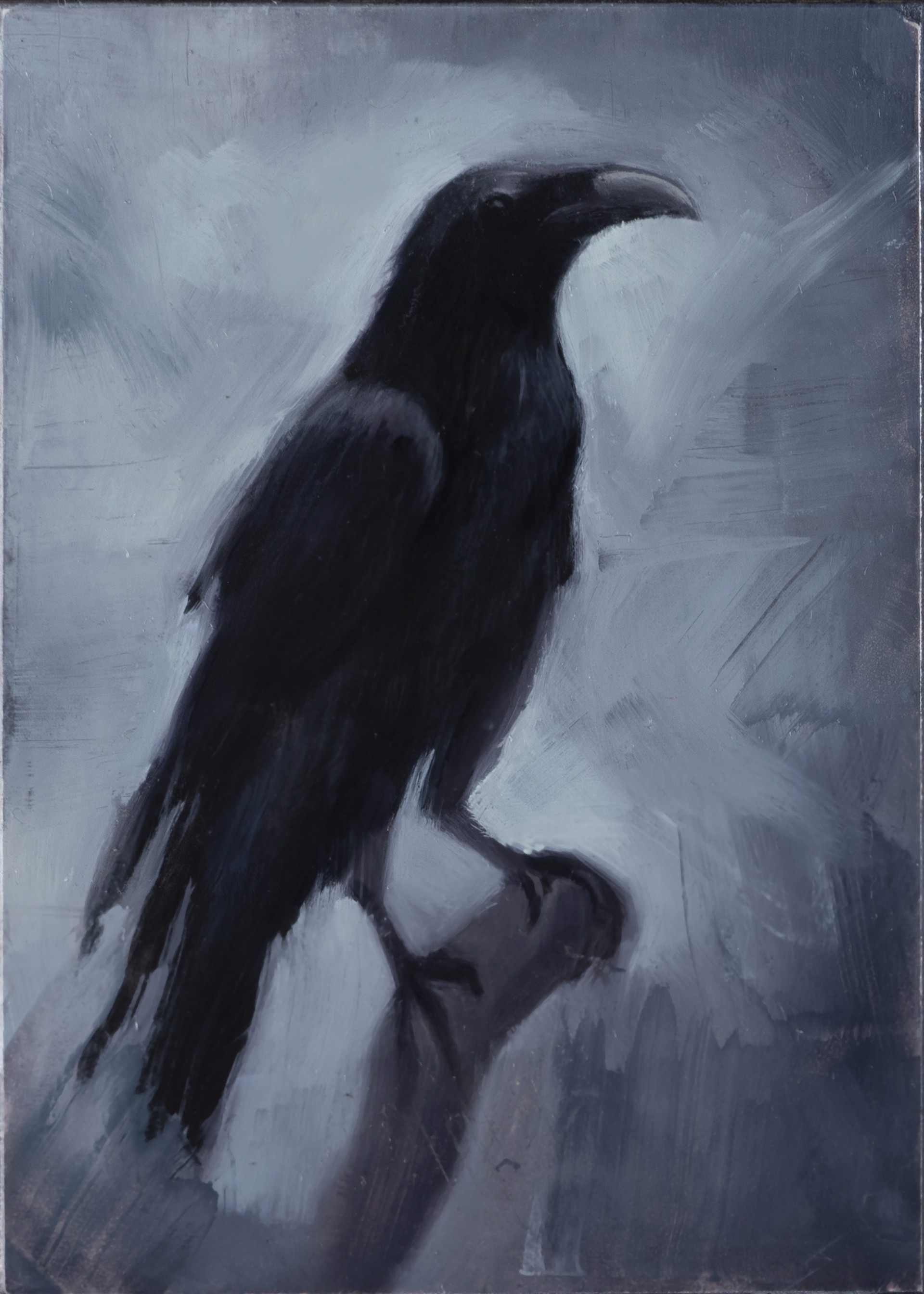 A solitary black bird perched on a branch against a moody grey background.