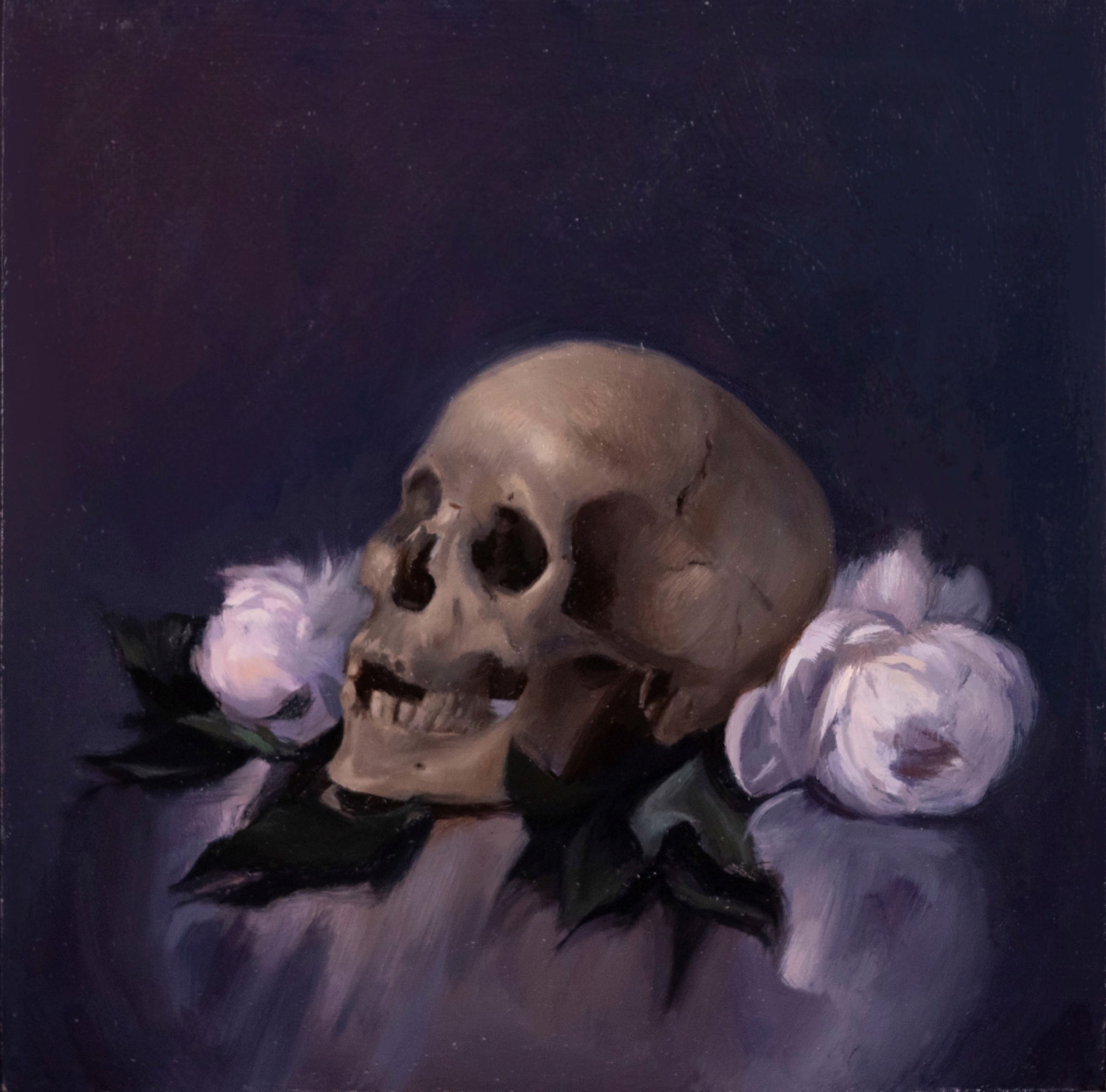 A painting of a skull and two white roses on a purple background.