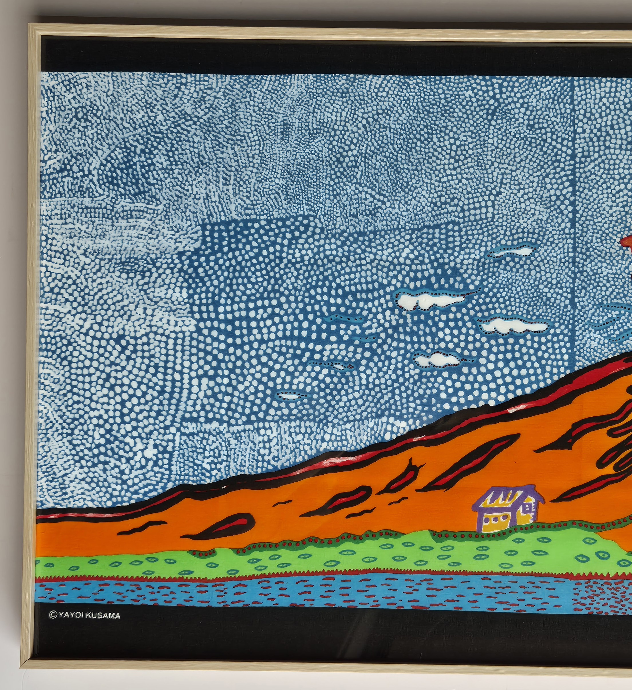 When Life Boundlessly Flares Up to the Universe