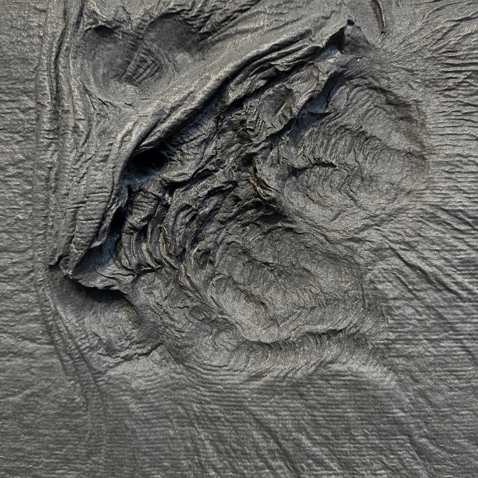 Artwork by Yoshio Ikezaki, The Earth Breathes - Totonou (Prepare), Made of Mulberry Fiber, Sumi Ink 