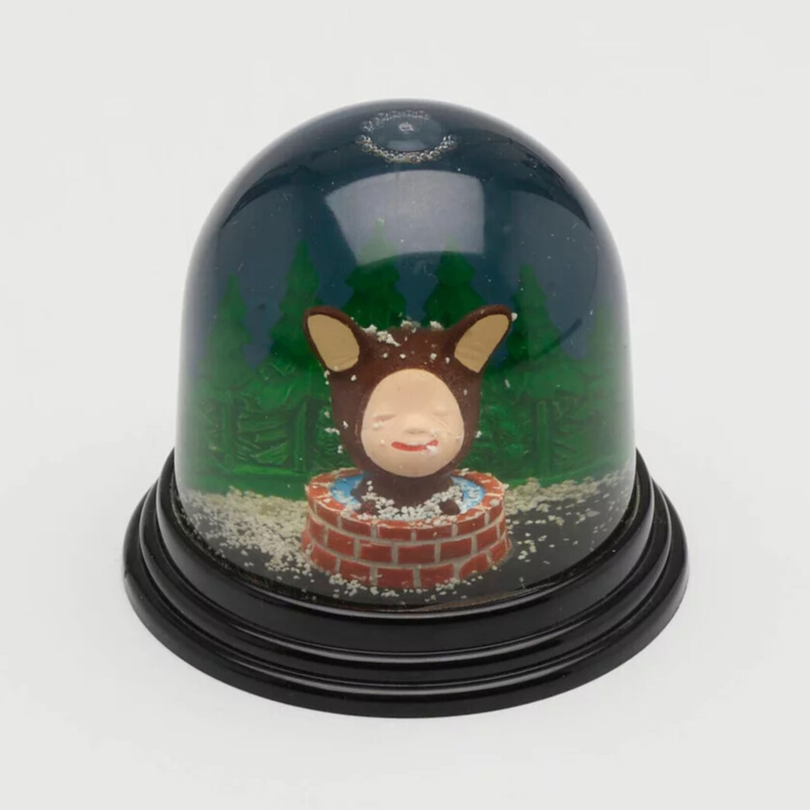 A snow globe with a picture of a cat inside of it.