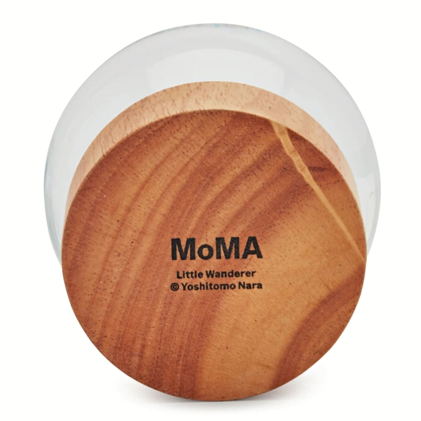 A snow globe with a little boy in a blue outfit.