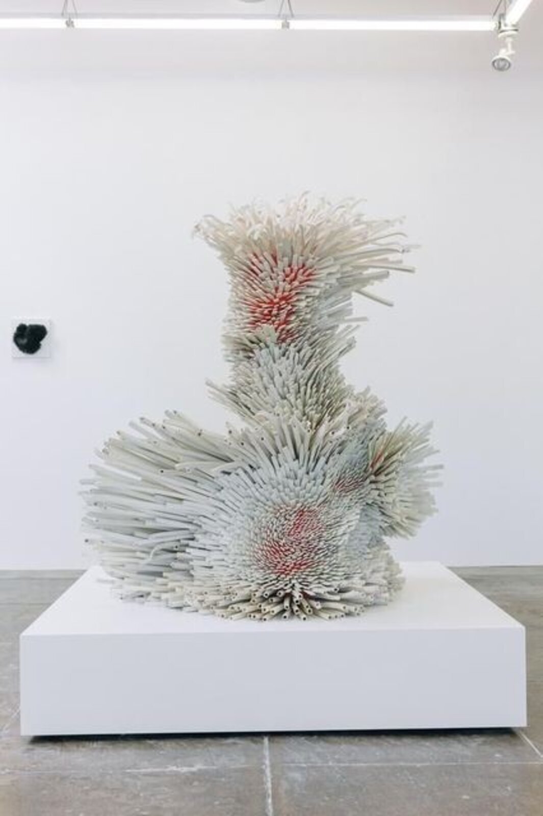 New Year's Best Dream by Zemer Peled, 2015