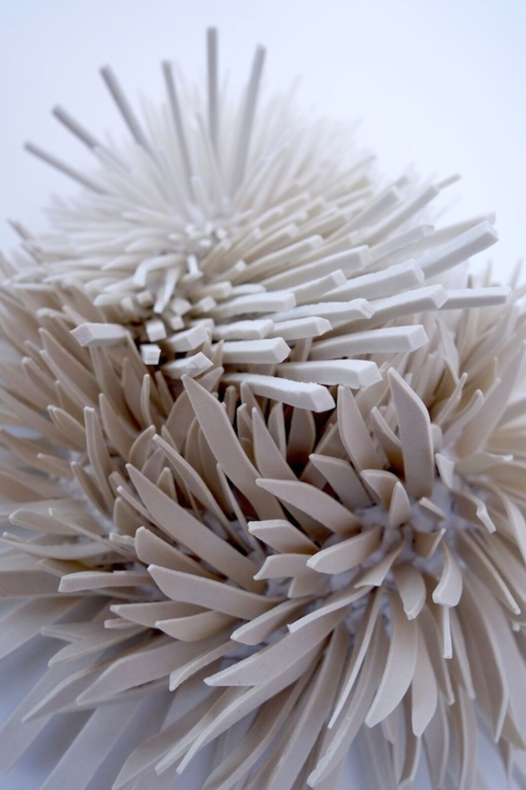 A sculptural heart shape formed from two clusters of spiky, ribbon-like elements.