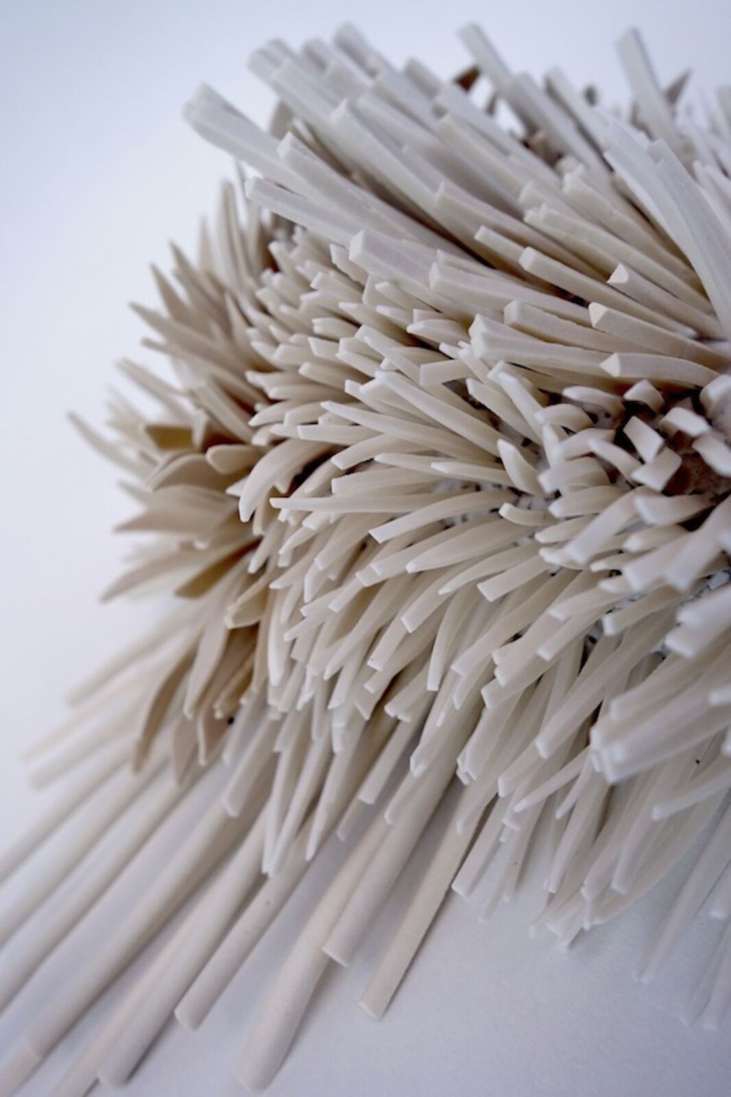 A sculptural heart shape formed from two clusters of spiky, ribbon-like elements.