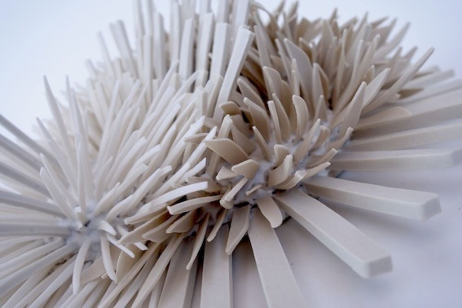 A sculptural heart shape formed from two clusters of spiky, ribbon-like elements.