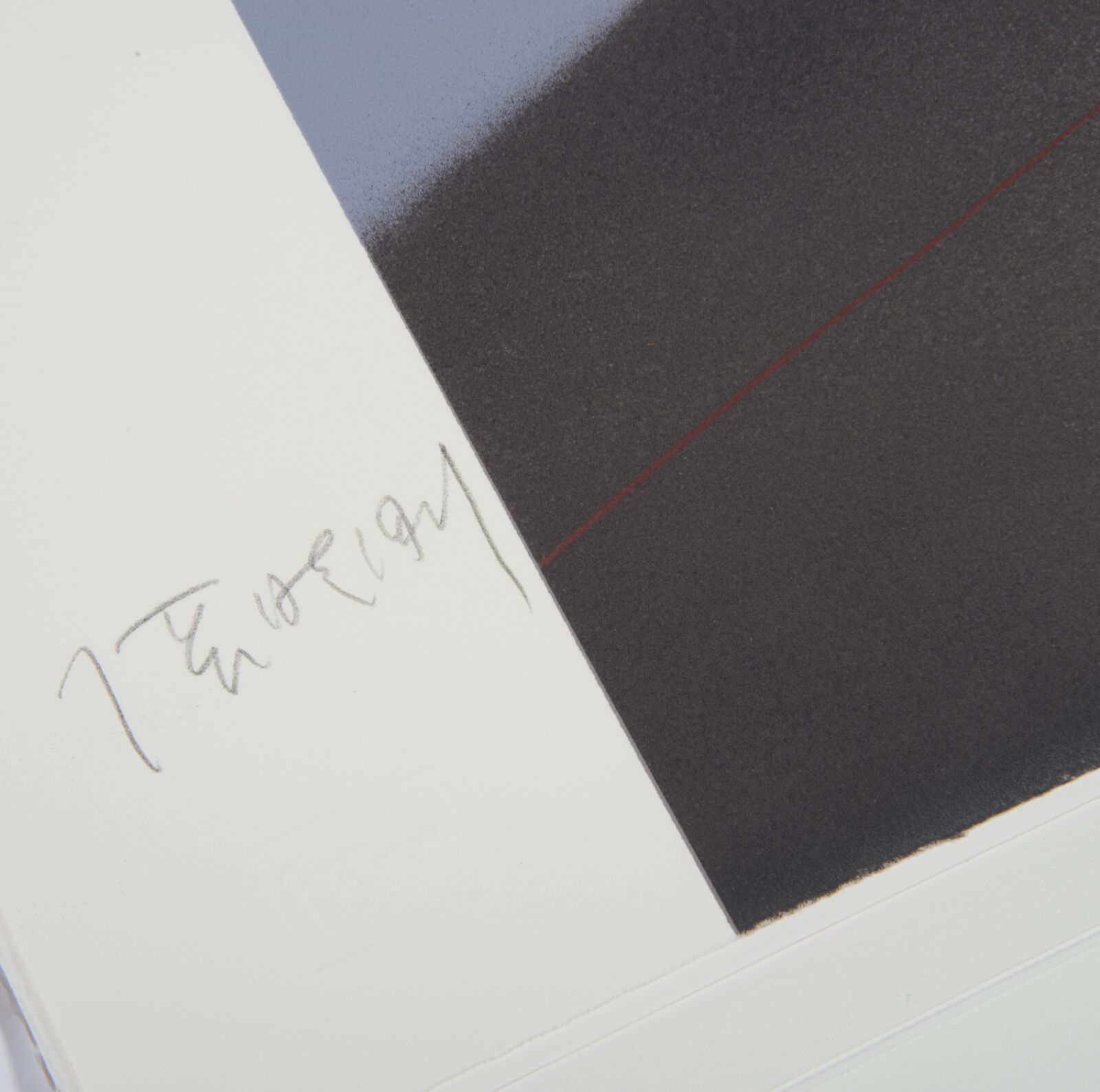 Artwork by Zhang Xiaogang, Description, Made of Lithograph 