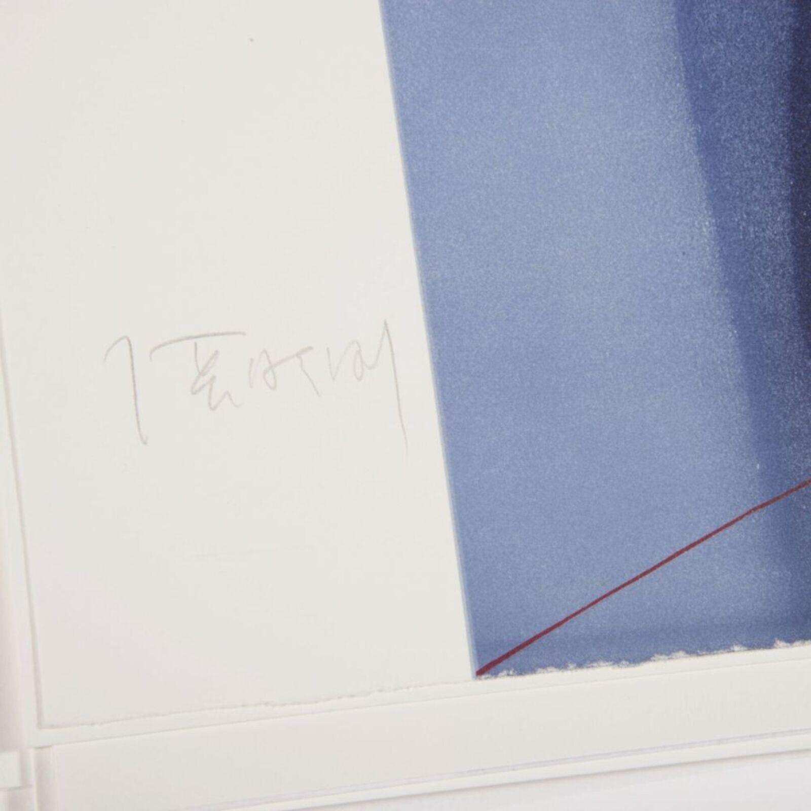 Artwork by Zhang Xiaogang, The Red Baby, Made of Lithography 